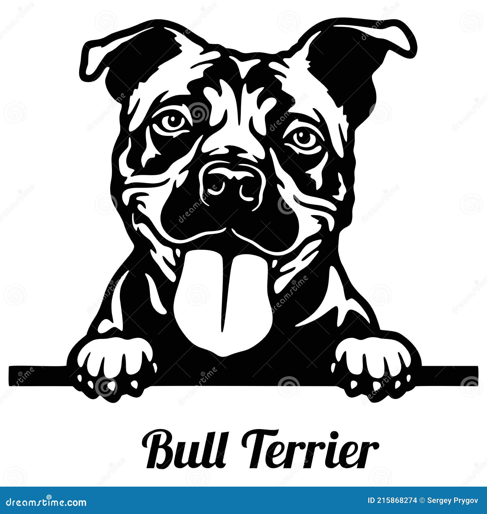 Bull Terrier Peeking Dog - Head Isolated on White Stock Vector ...