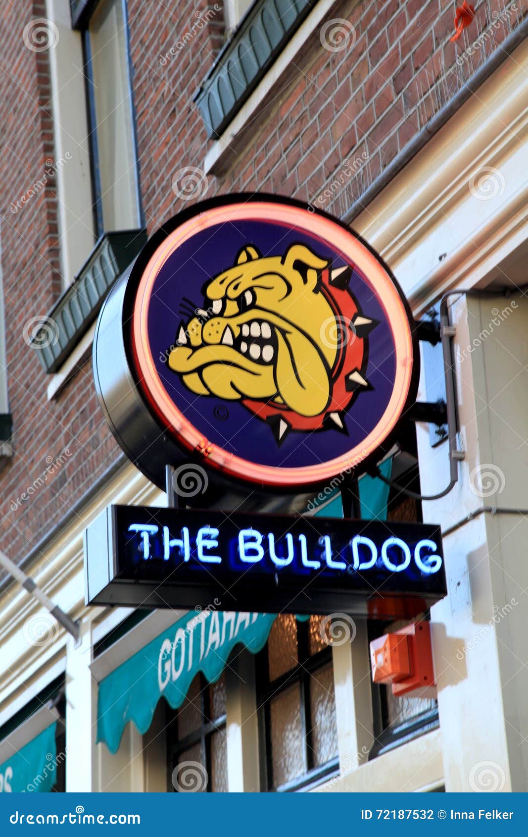 Bulldog In Amsterdam, Netherlands. Editorial
