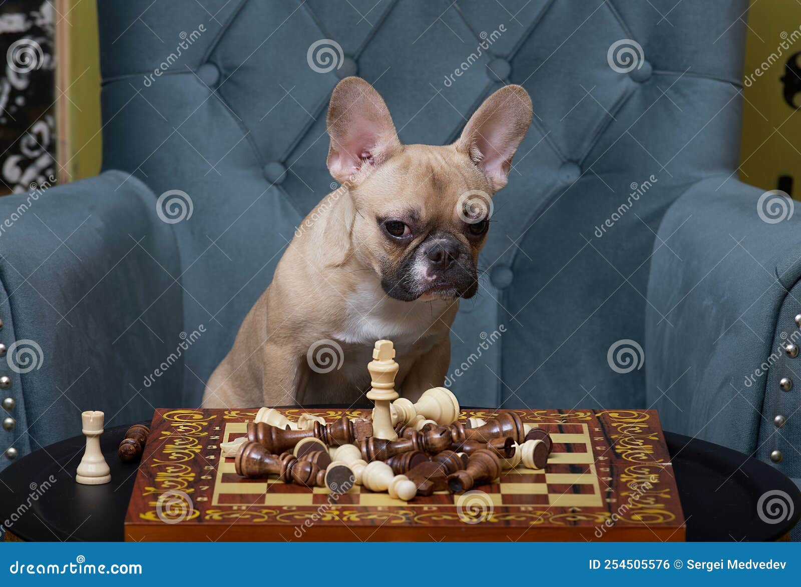 French Bulldog Chess Set