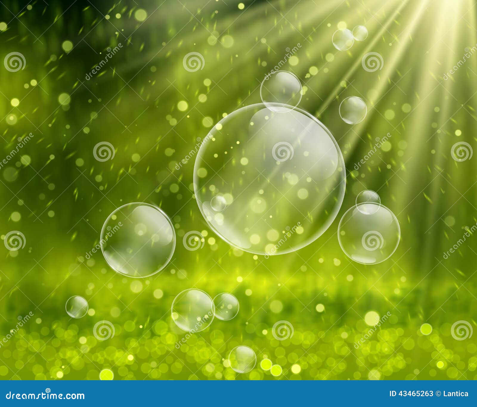 Lot De 10 Tubes à Bulles Avec étquettes Personnalsés – Marage, Baptême, Annversare - Etsy