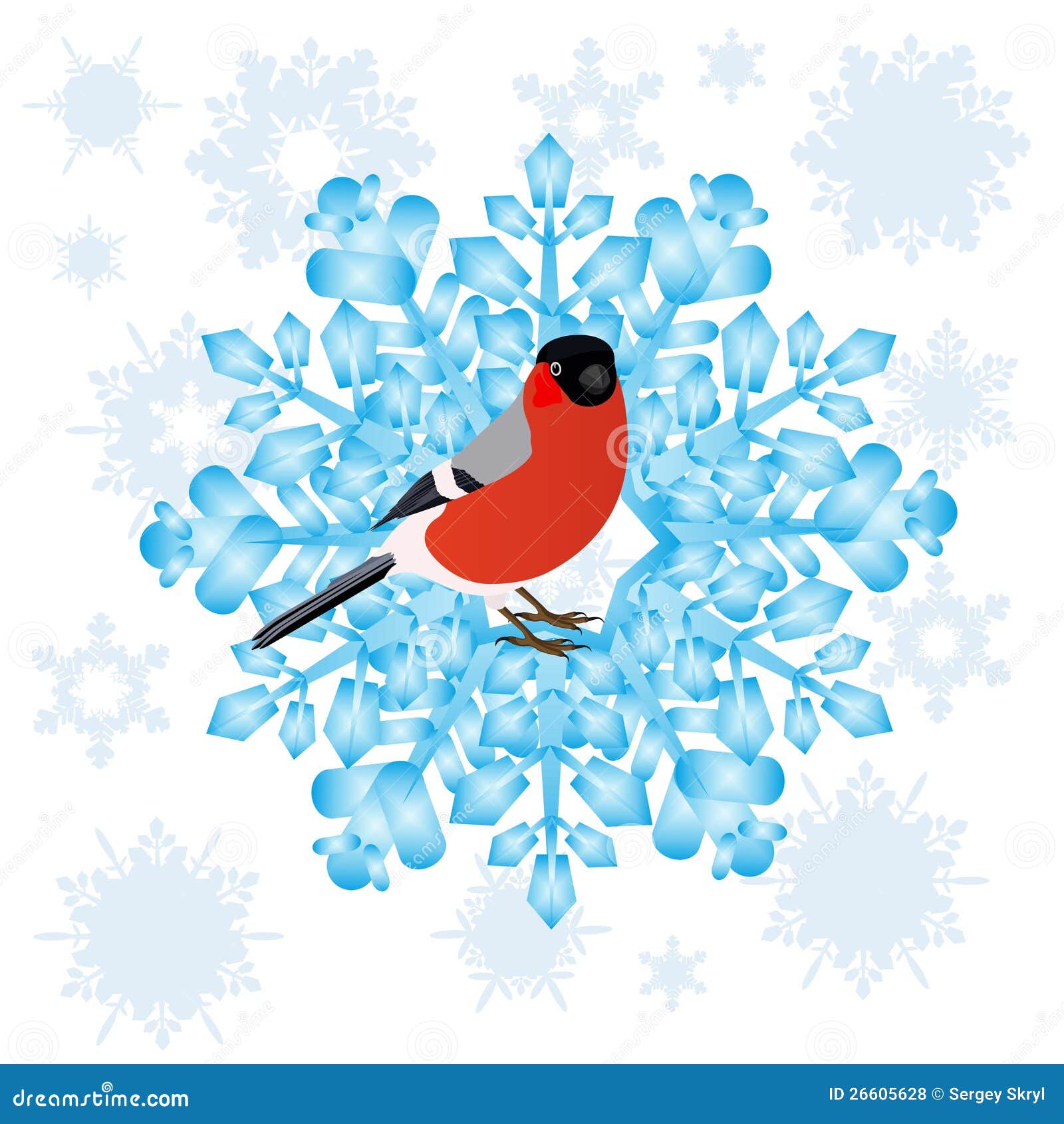Bullfinch and a snowflake stock vector. Illustration of cold - 26605628