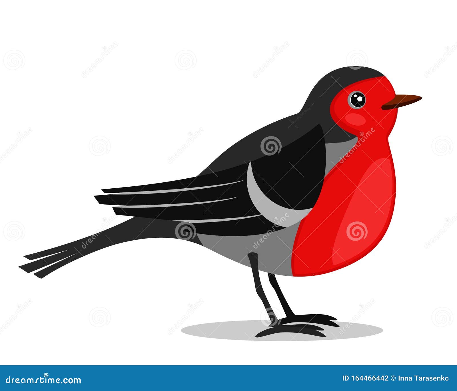 vogel mit rotem bauch