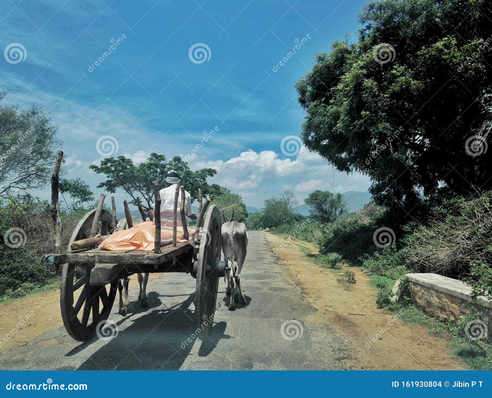 Bullock cart stock photo. Image of transportation, cart 161930804