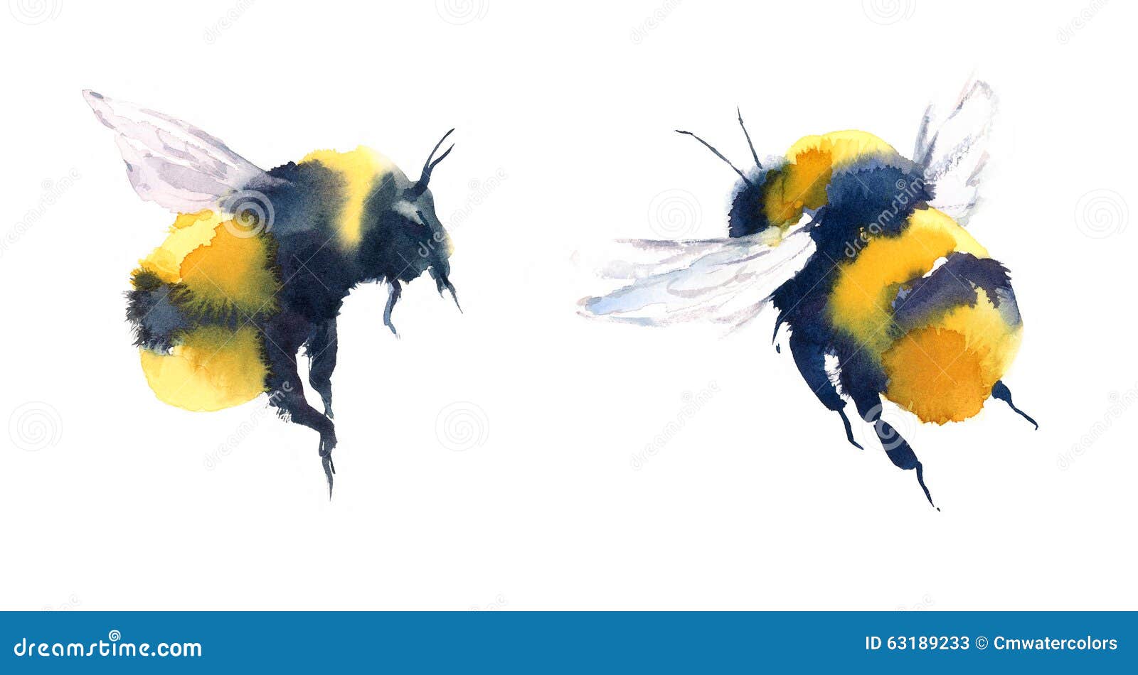 Bumblebees Watercolor Illustration Hand Drawn Stock Illustration ...