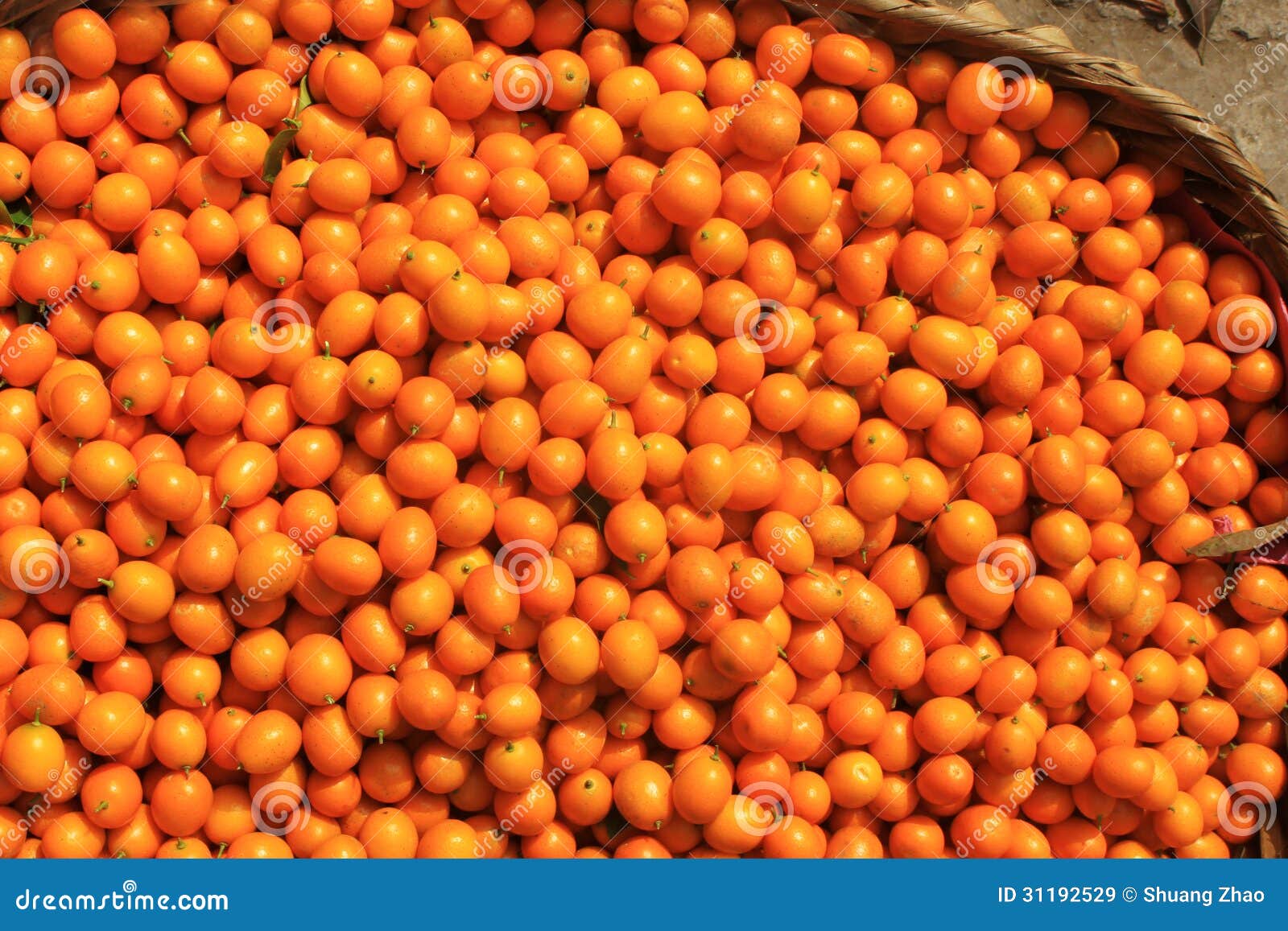 Bumper harvest stock image. Image of cumquat, good, acquisition 31192529