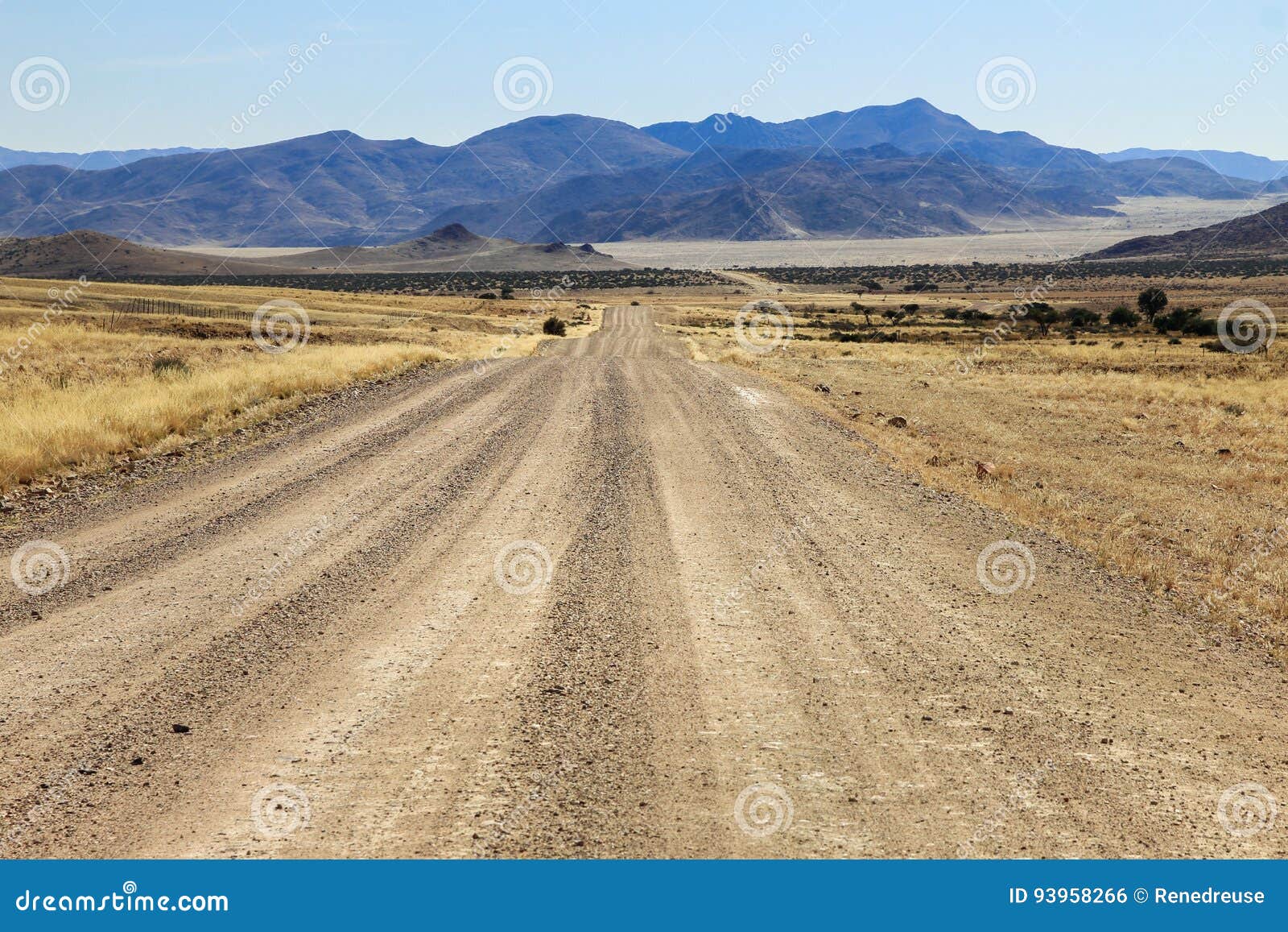 Bumpy Road To Mountains And Through Dry Desert Grassland Stock Photo Image Of Direction Arid