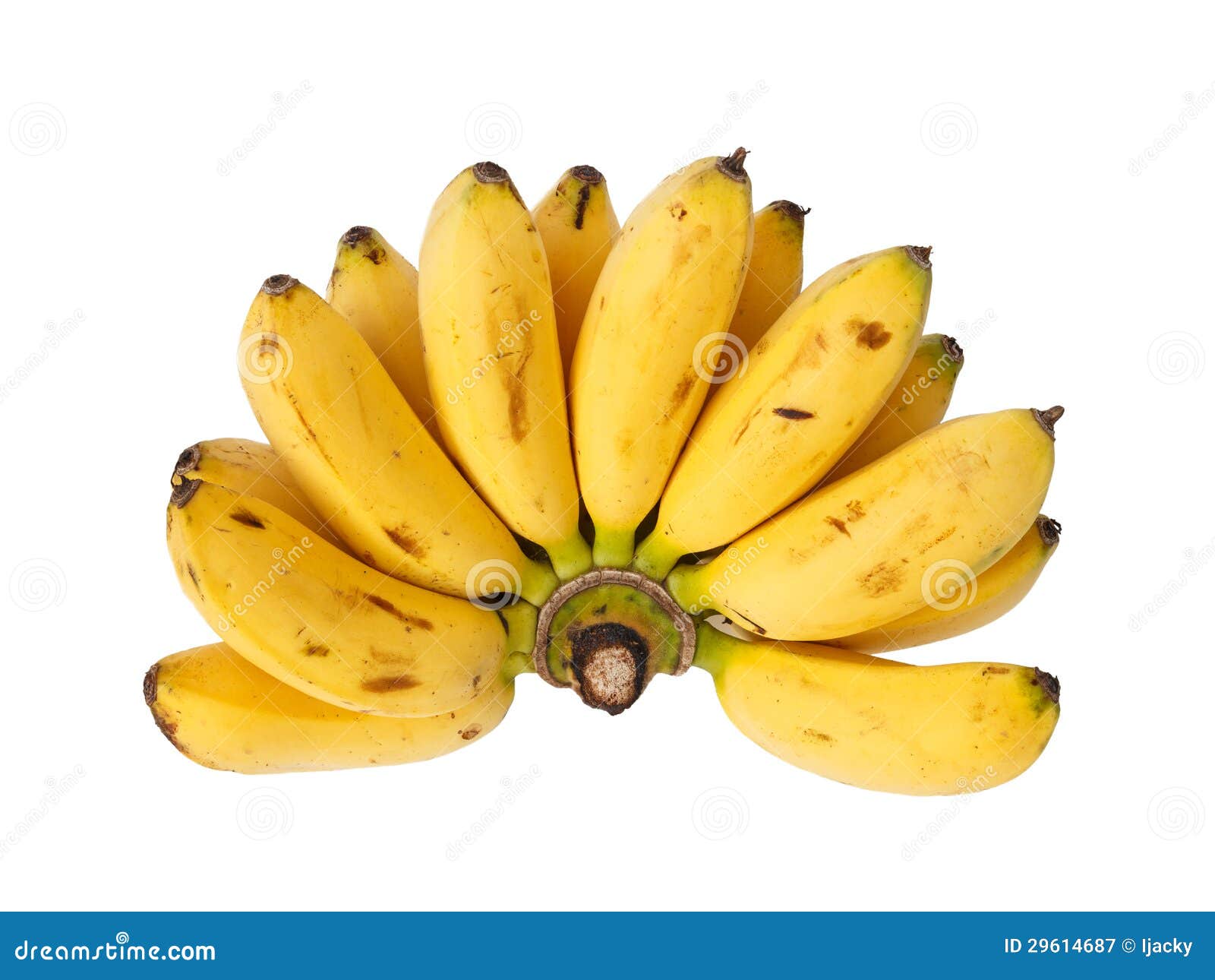 bunch of baby banana