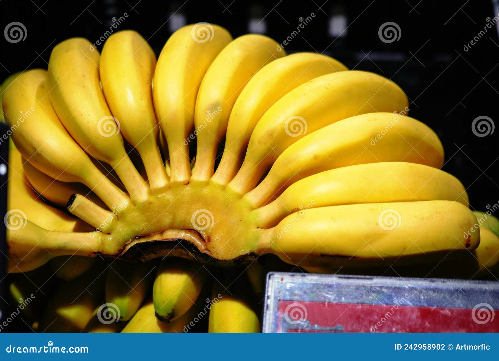 https://thumbs.dreamstime.com/z/bunch-bananas-yellow-evening-light-black-backgorund-showcase-242958902.jpg