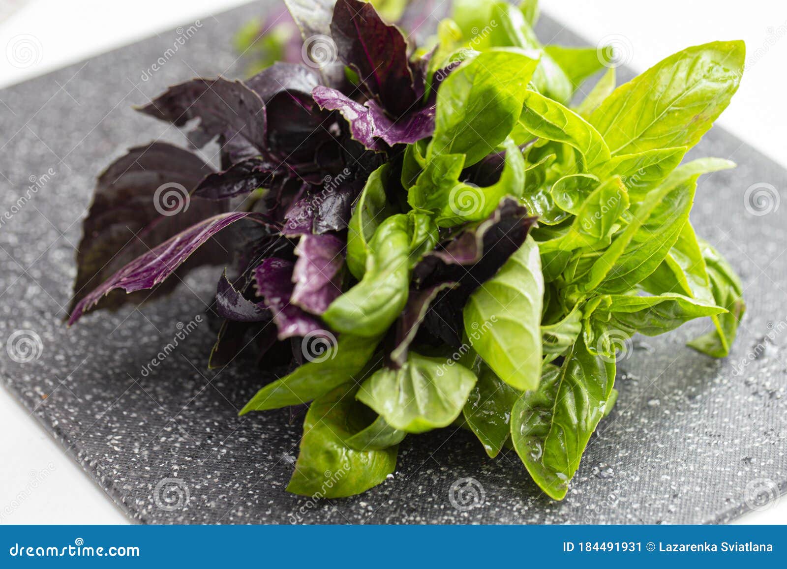 Bunch of basil stock image. Image of leaf, green, aromatic - 184491931