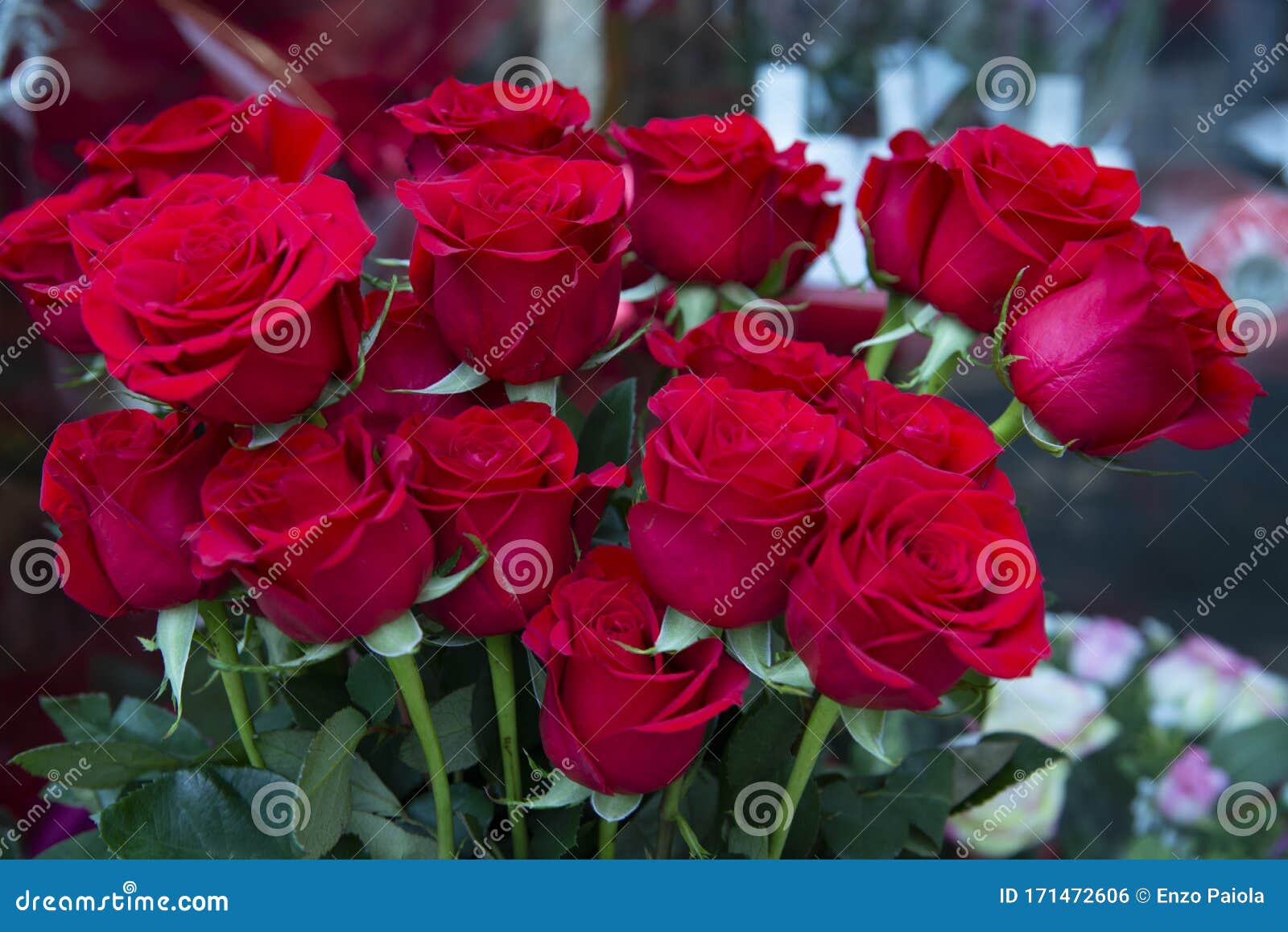 Bunch Of Beautiful Red Roses Stock Photo Image Of Blossom Couple 171472606