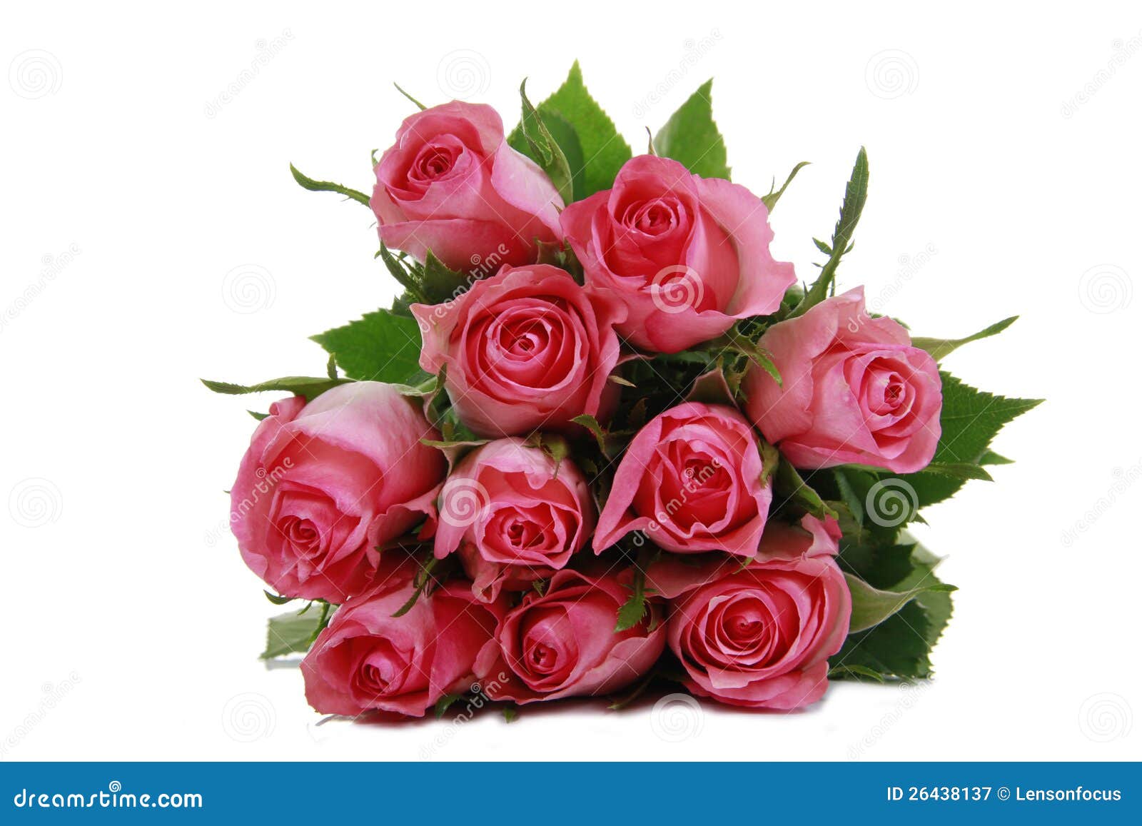 Bunch of beautiful roses stock image. Image of gardener 26438137