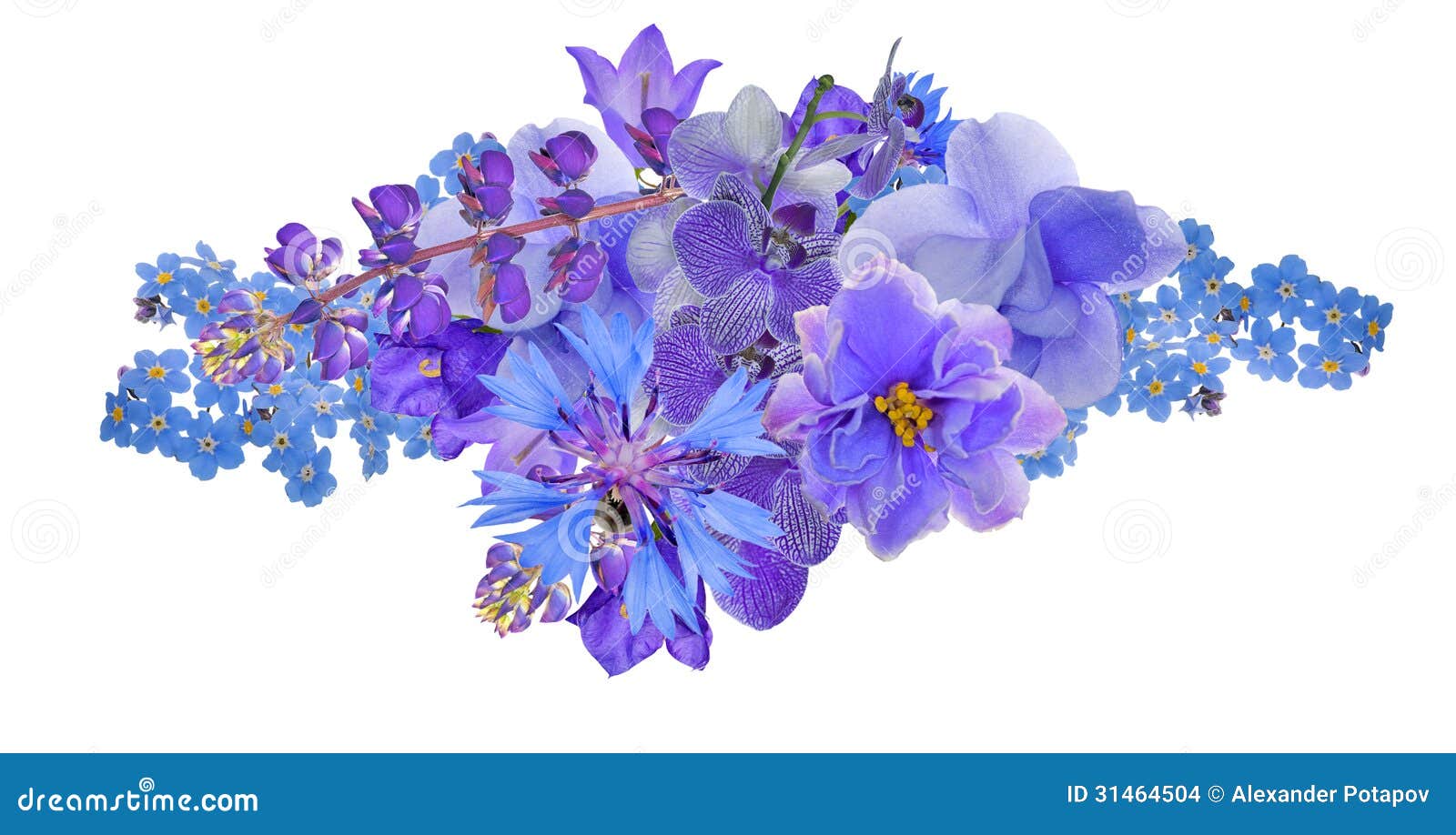 bunch blue flowers isolated white background 31464504