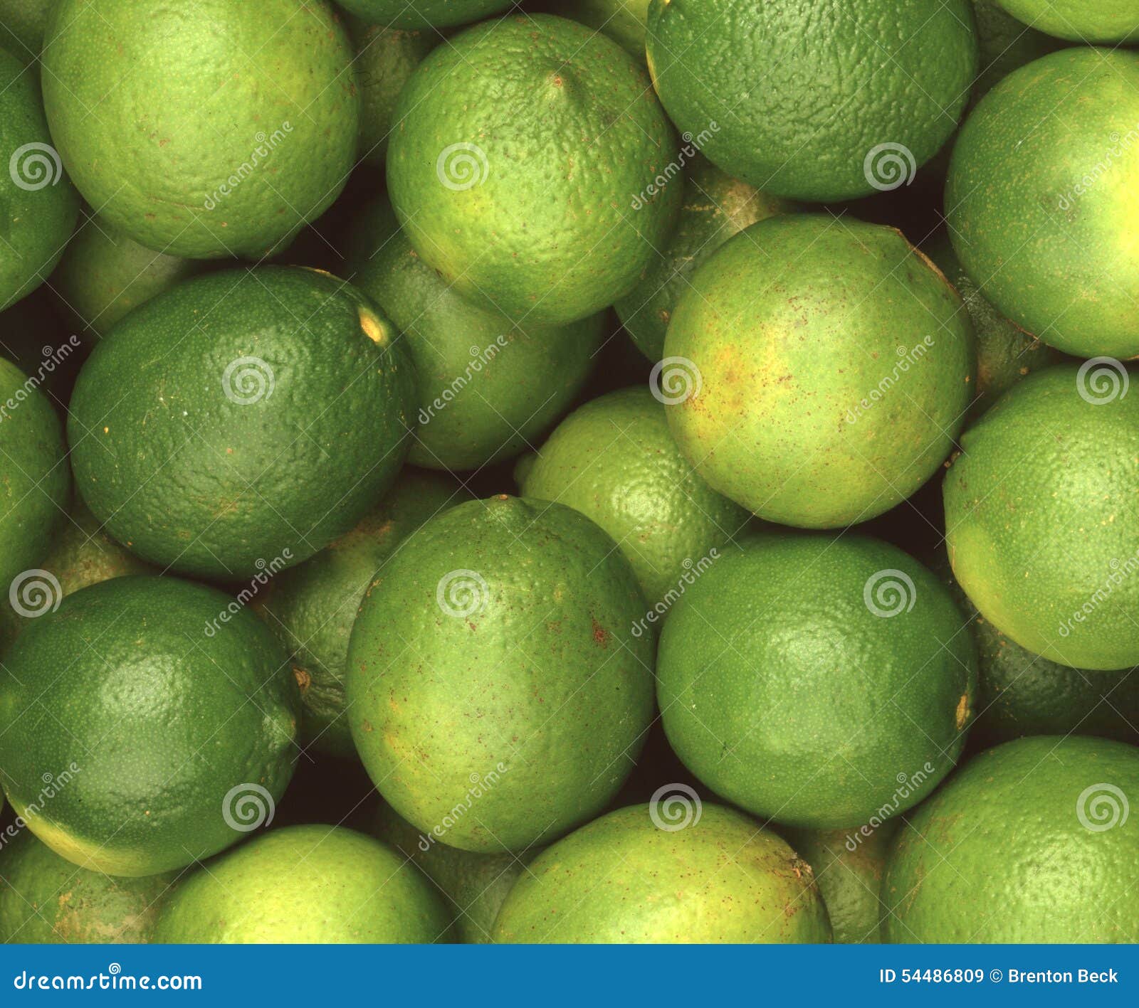 A Bunch of Bright Green Limes Stock Image Image of green, healthy