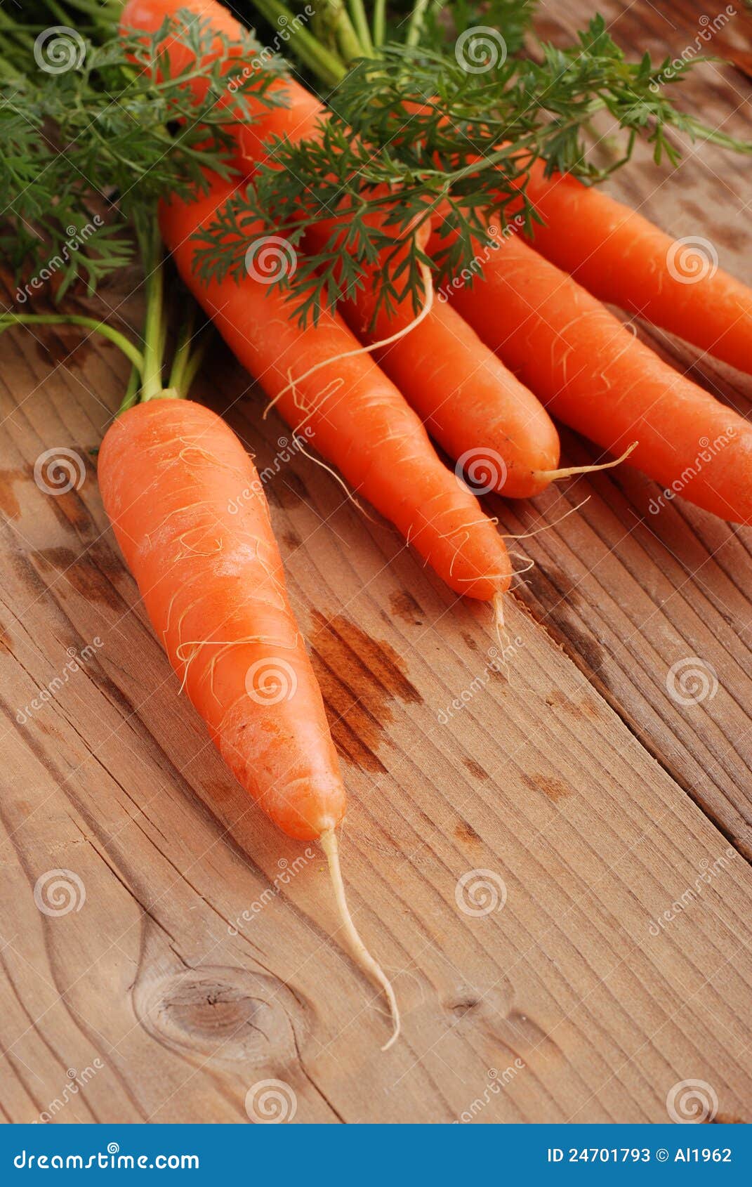 Bunch of carrots stock image. Image of healthy, food 24701793