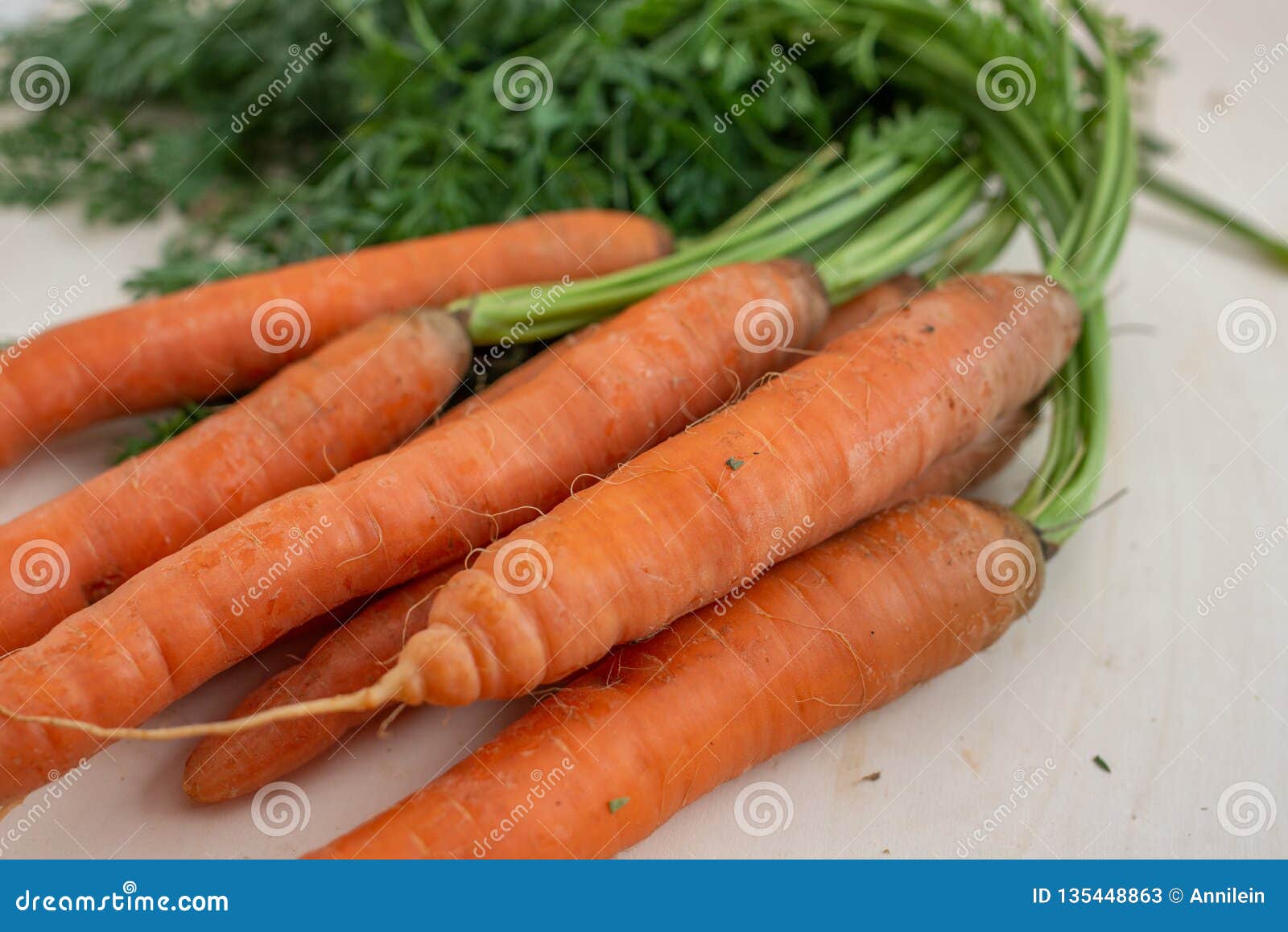 A Bunch of Carrots. Fresh Raw Carrots with Stems Stock Image Image of