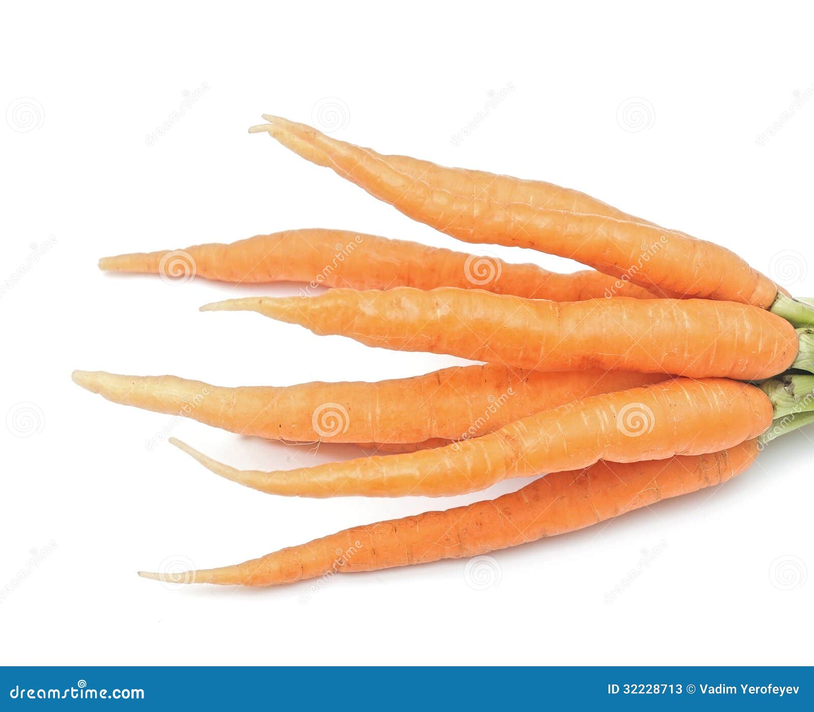Bunch of carrots stock image. Image of bright, food, vegetable 32228713