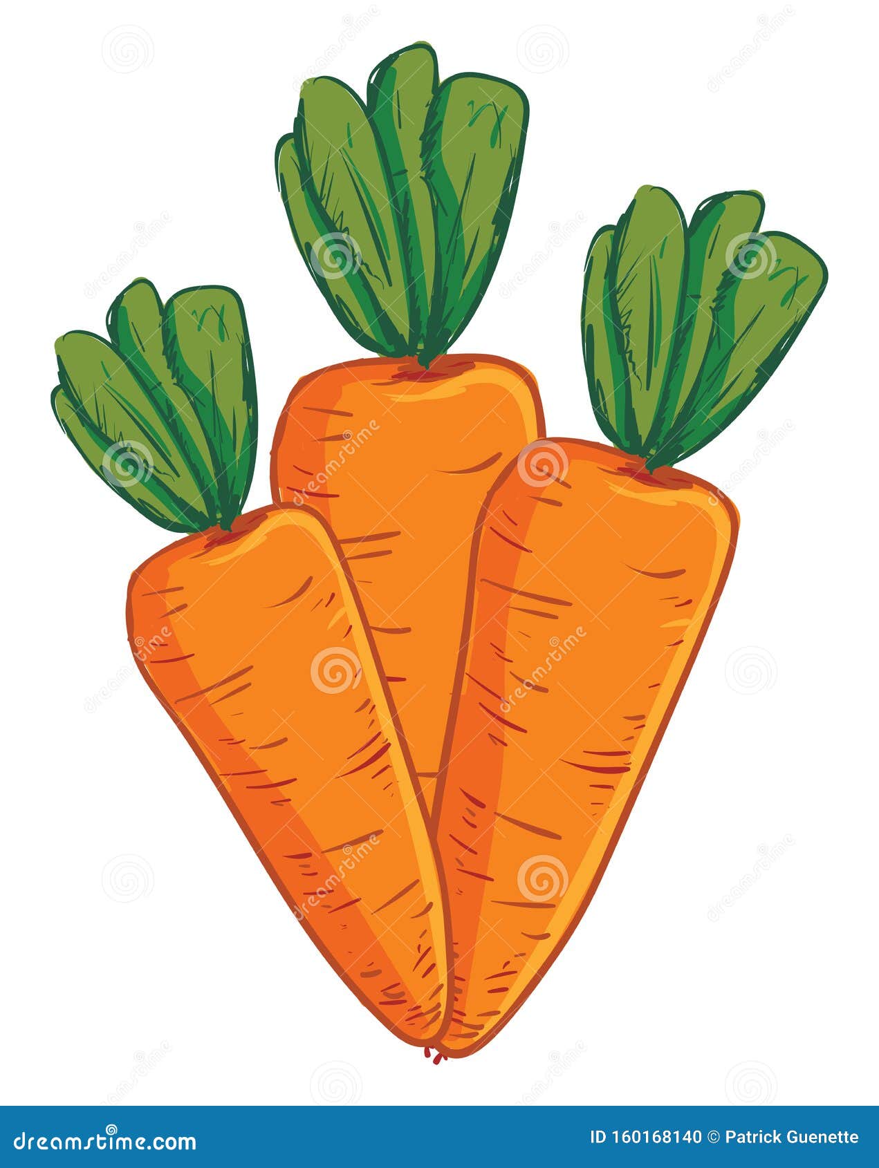 A Bunch of 3 Carrots, Vector or Color Illustration Stock Vector ...