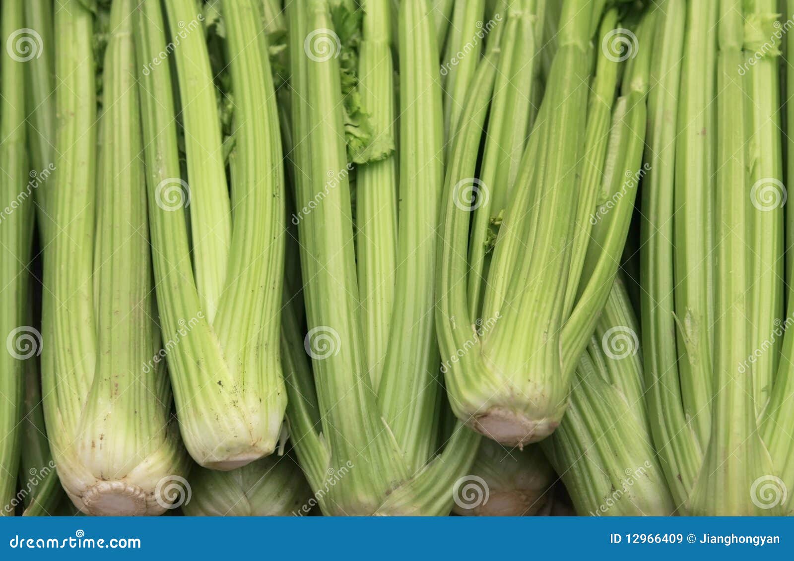 A bunch of celery in the supermarket of the close-up