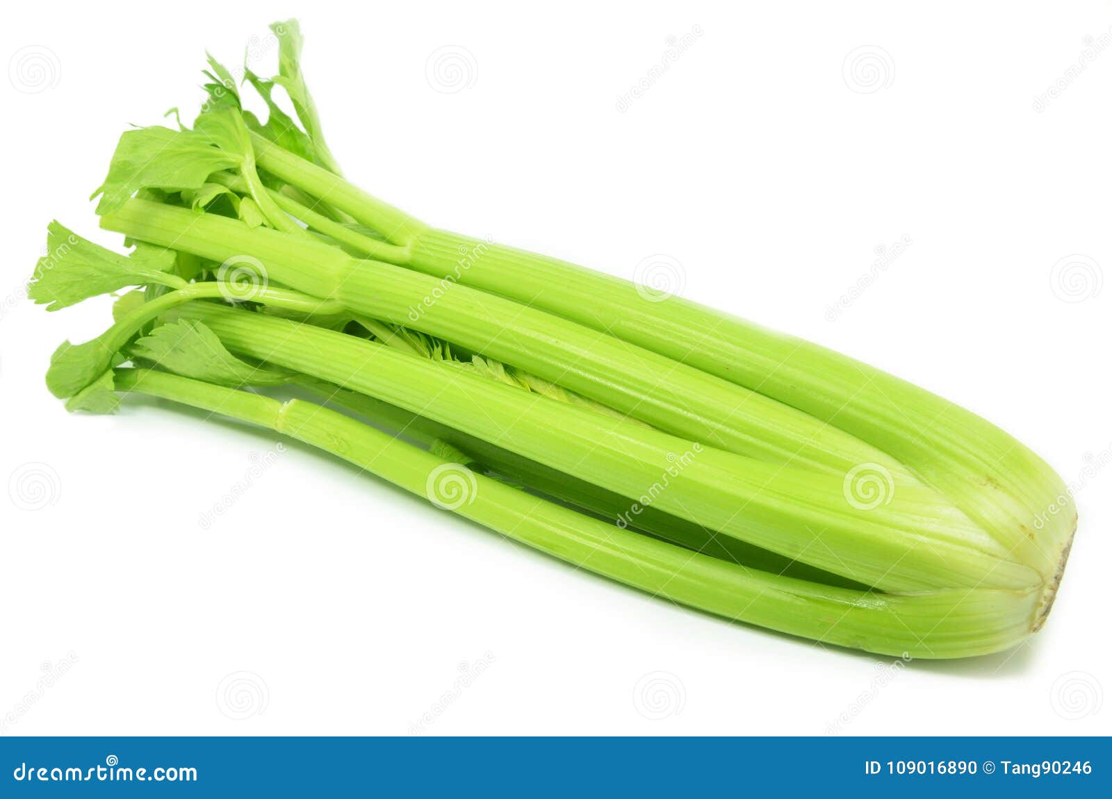 Bunch of Celery Sticks Isolated Stock Photo - Image of apium, ingredients:  109016890
