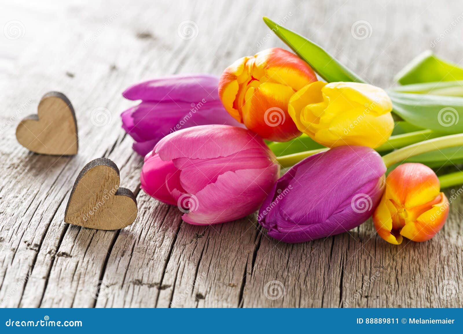 Bunch of Colorful Tulips with Hearts in Spring for Mothers Stock Image -  Image of valentines, march: 88889811