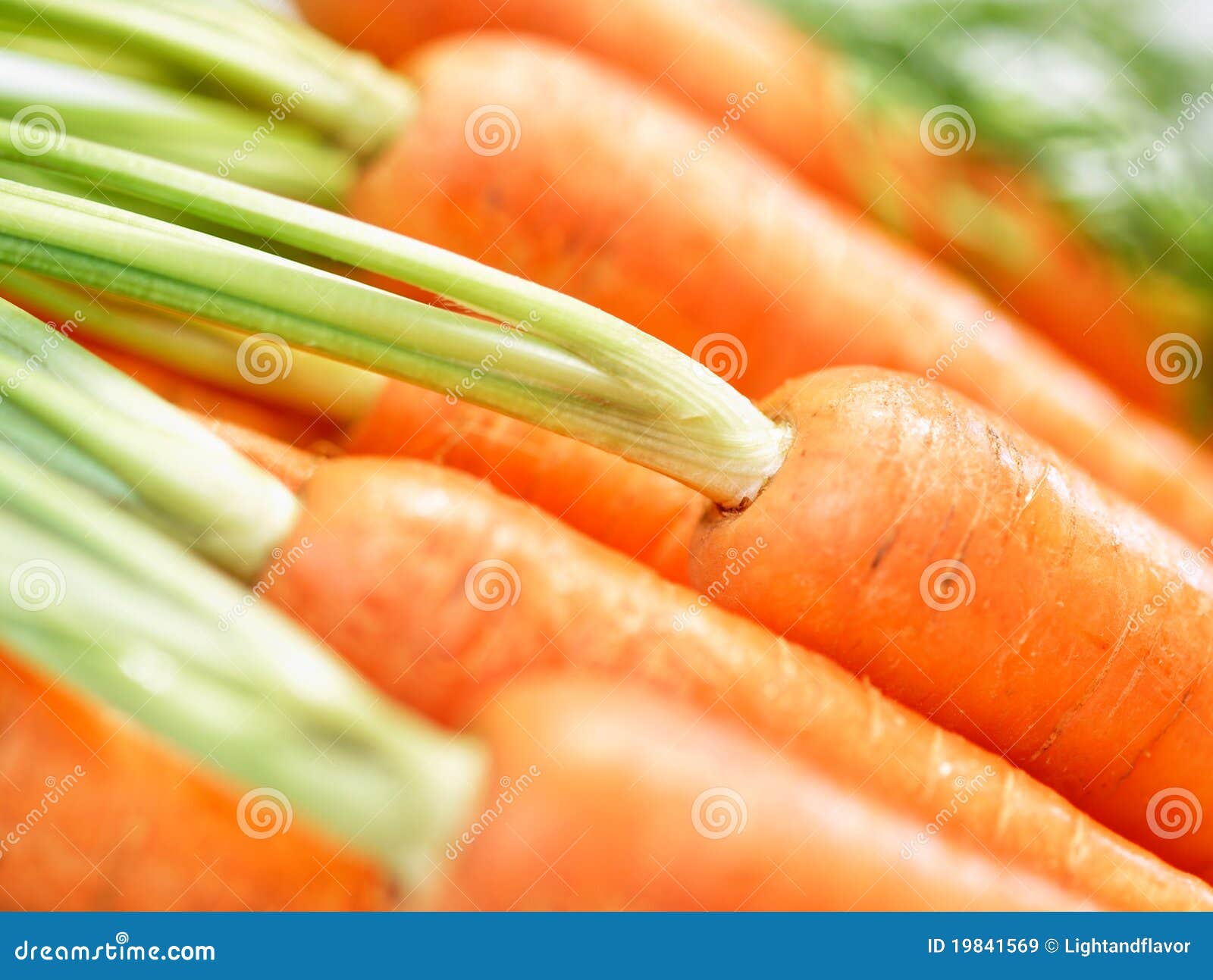 bunch of crunchy carrots close-up