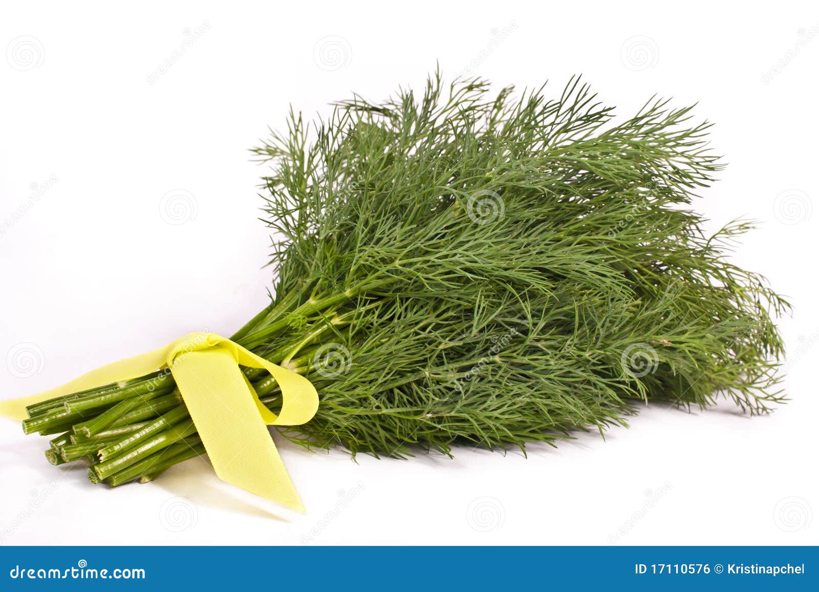 Bunch of dill stock photo. Image of isolated, healthy 17110576