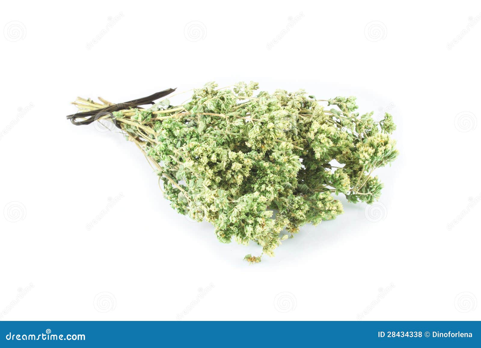 Bunch of dried marjoram stock photo. Image of origanum 28434338