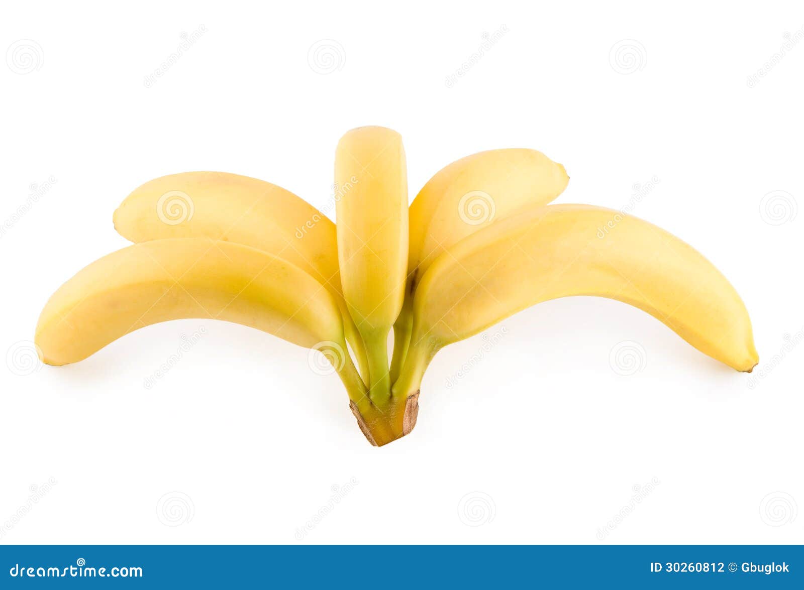 Bananas Fruits Stock Photo Image Of Dessert Closeup 30260812