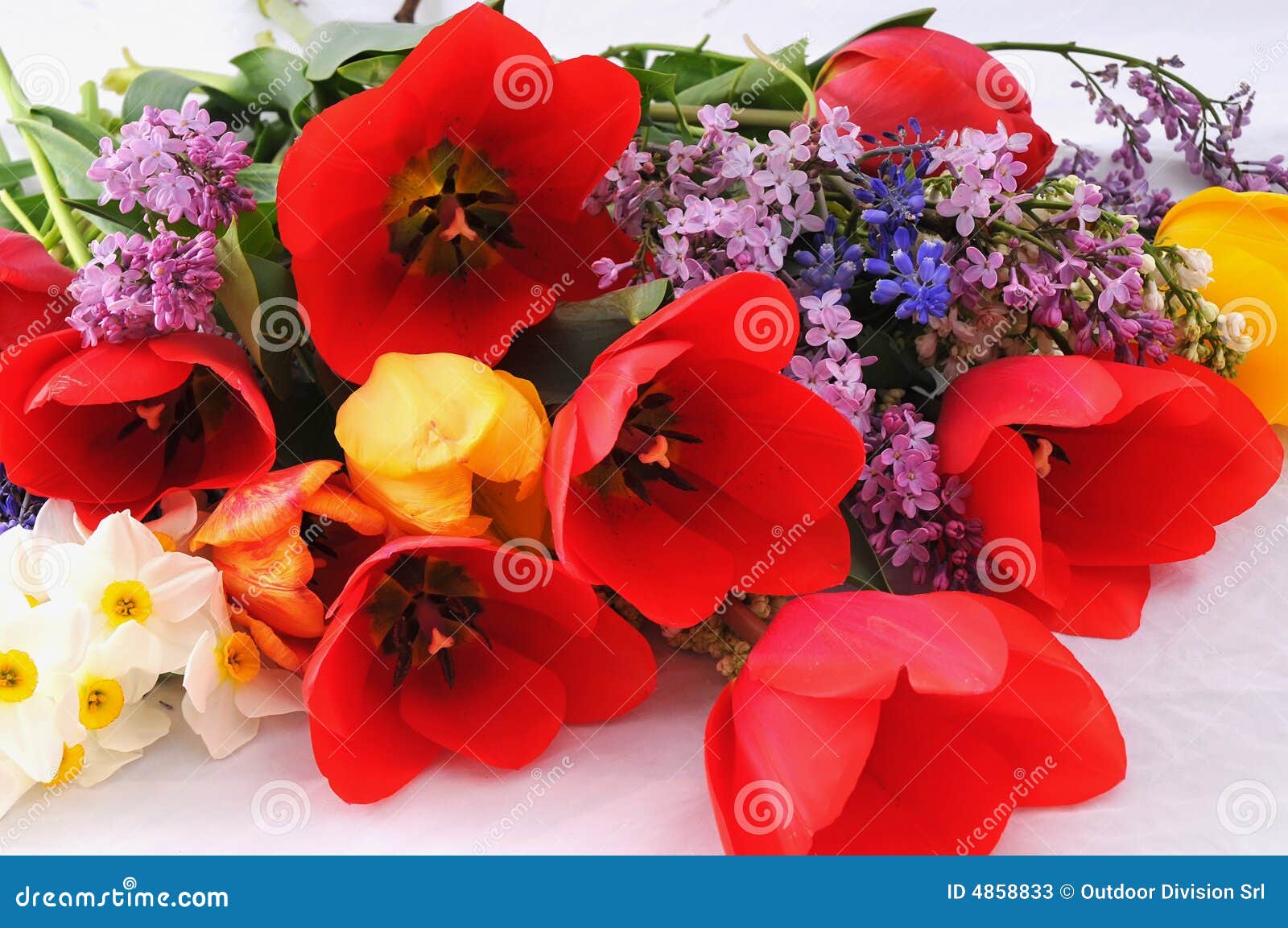 bunch flowers 4858833