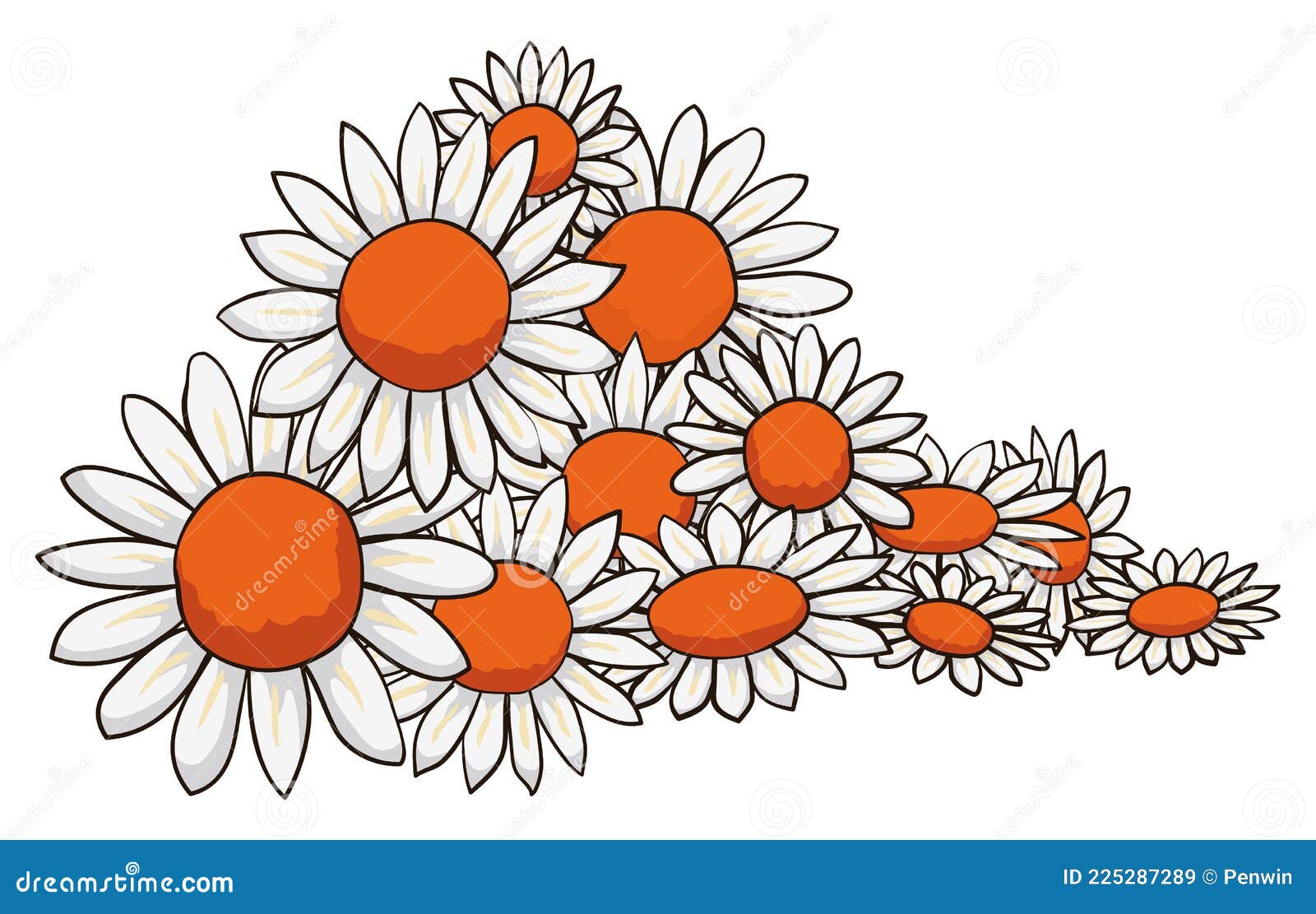 Bunch of Flowers with White Petals and Orange Center, Vector
