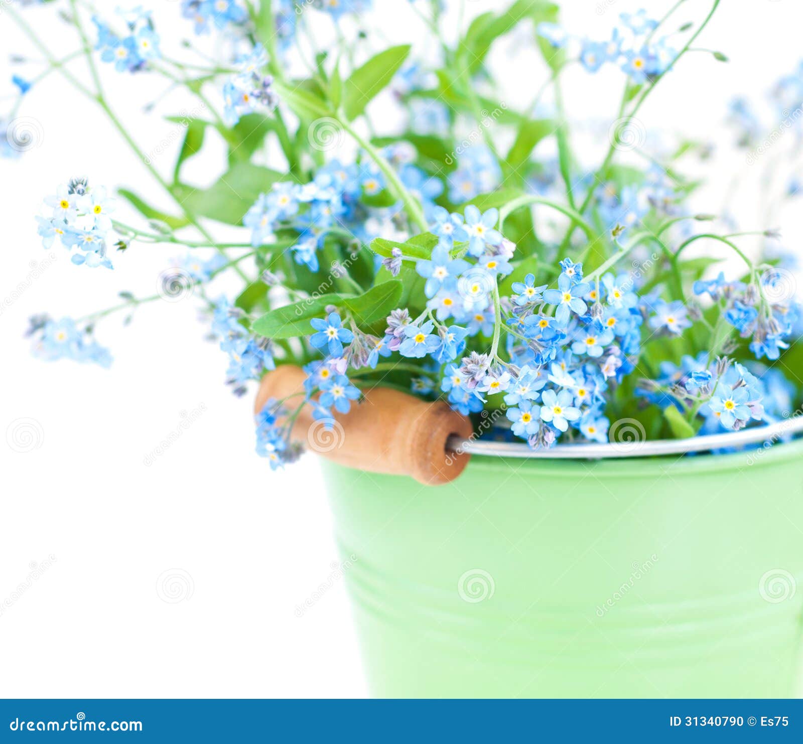 My Image 24