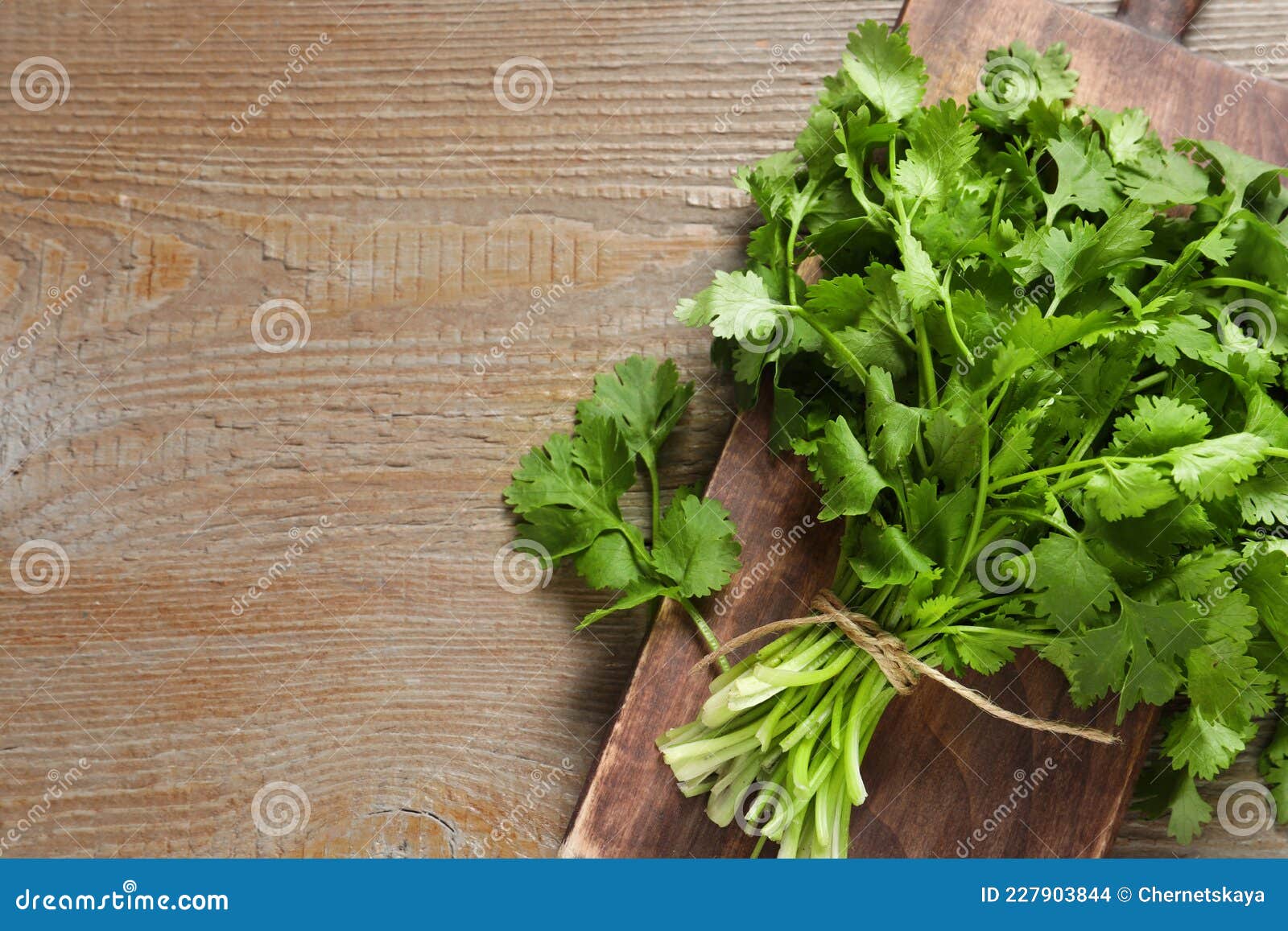 Bunch of Fresh Aromatic Cilantro on Wooden Table, Top View. Space for