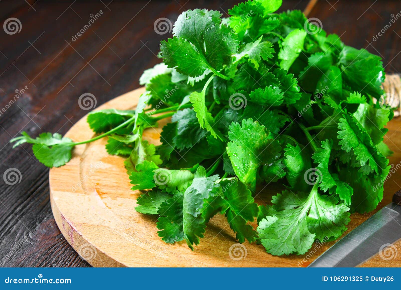 Bunch of Fresh Cilantro on the Boards, Fresh Herbs on Wooden Table