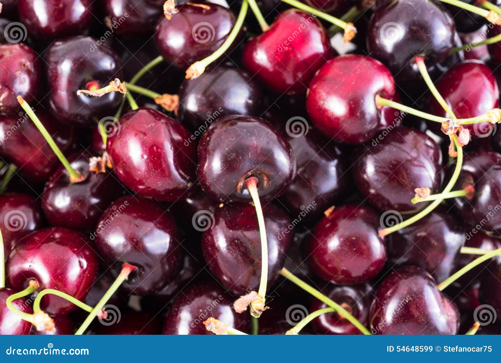 Bunch of Fresh Dark Red Cherries Stock Image Image of freshness