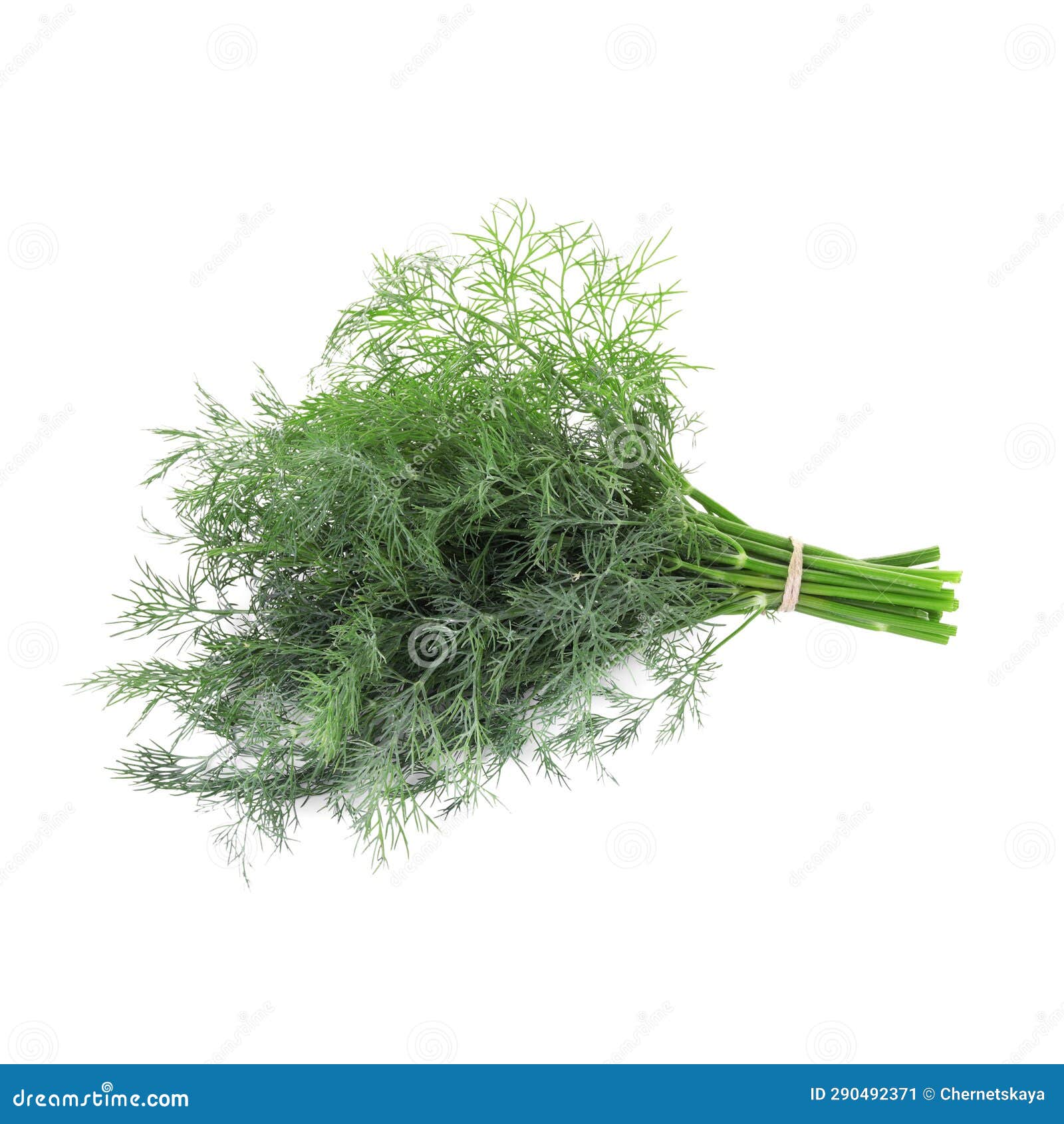 Bunch of Fresh Dill Isolated on White Stock Image Image of eating