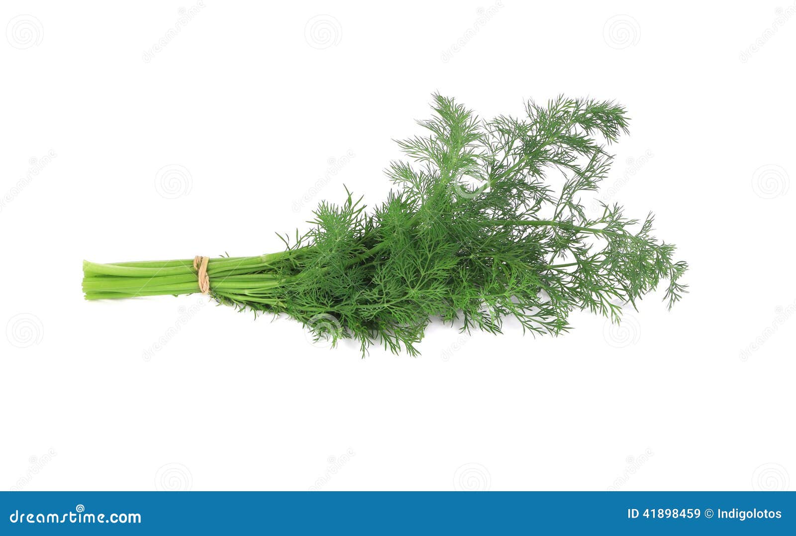Bunch of fresh dill. stock image. Image of kitchen, background 41898459