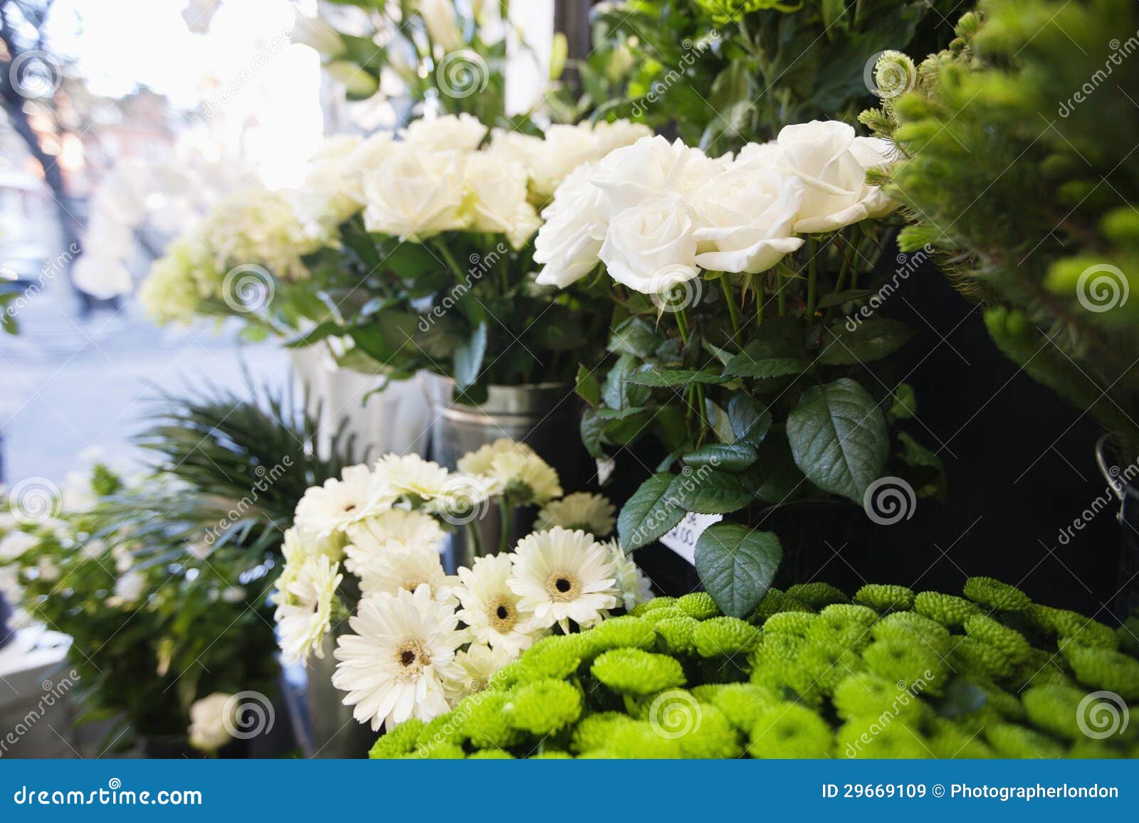 Bunch of Fresh Flowers at Florist Shop Stock Image Image of flowers