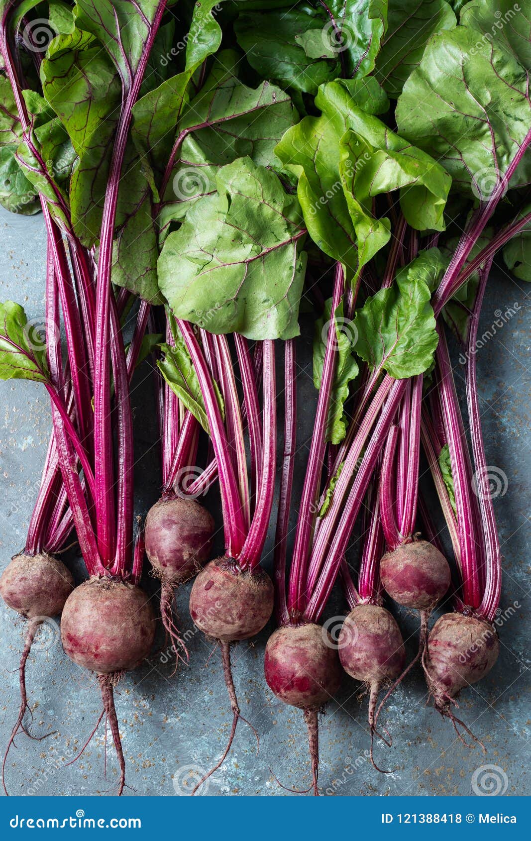 Bunch of Fresh Garden Beetroot Stock Photo Image of colors, beet