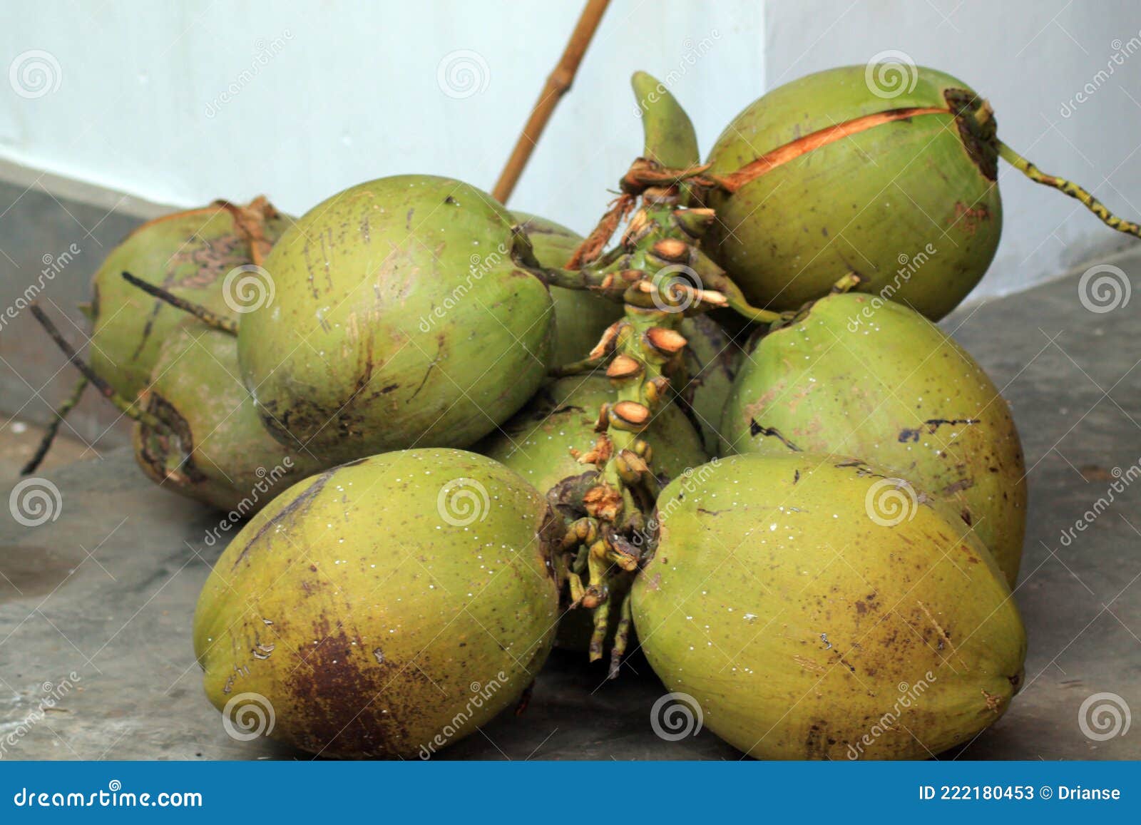 Bunch of Fresh Green Coconuts. Stock Image Image of agriculture