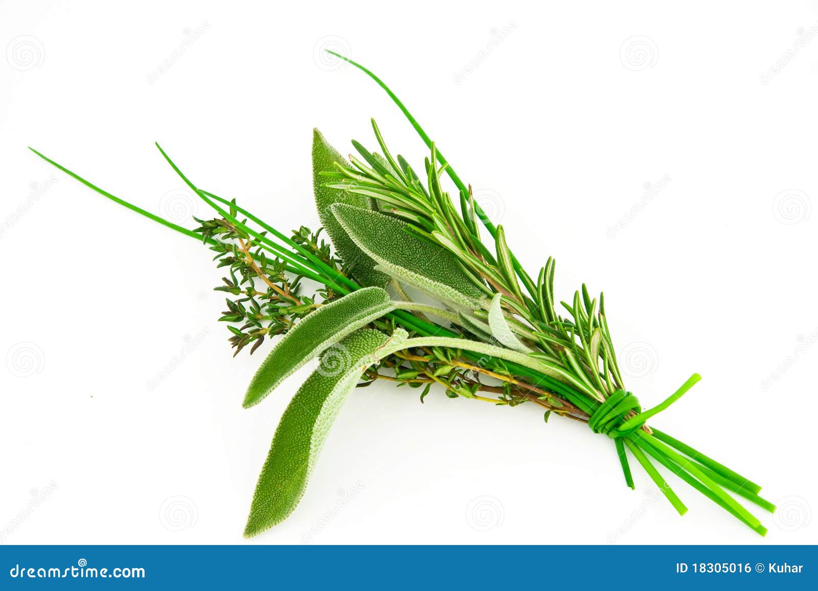Bunch of fresh herbs stock photo. Image of ingredient 18305016