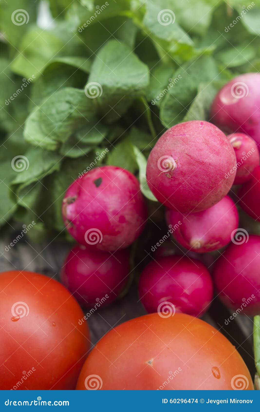 Bunch of Fresh Radishes and Tomato Stock Photo Image of cutting