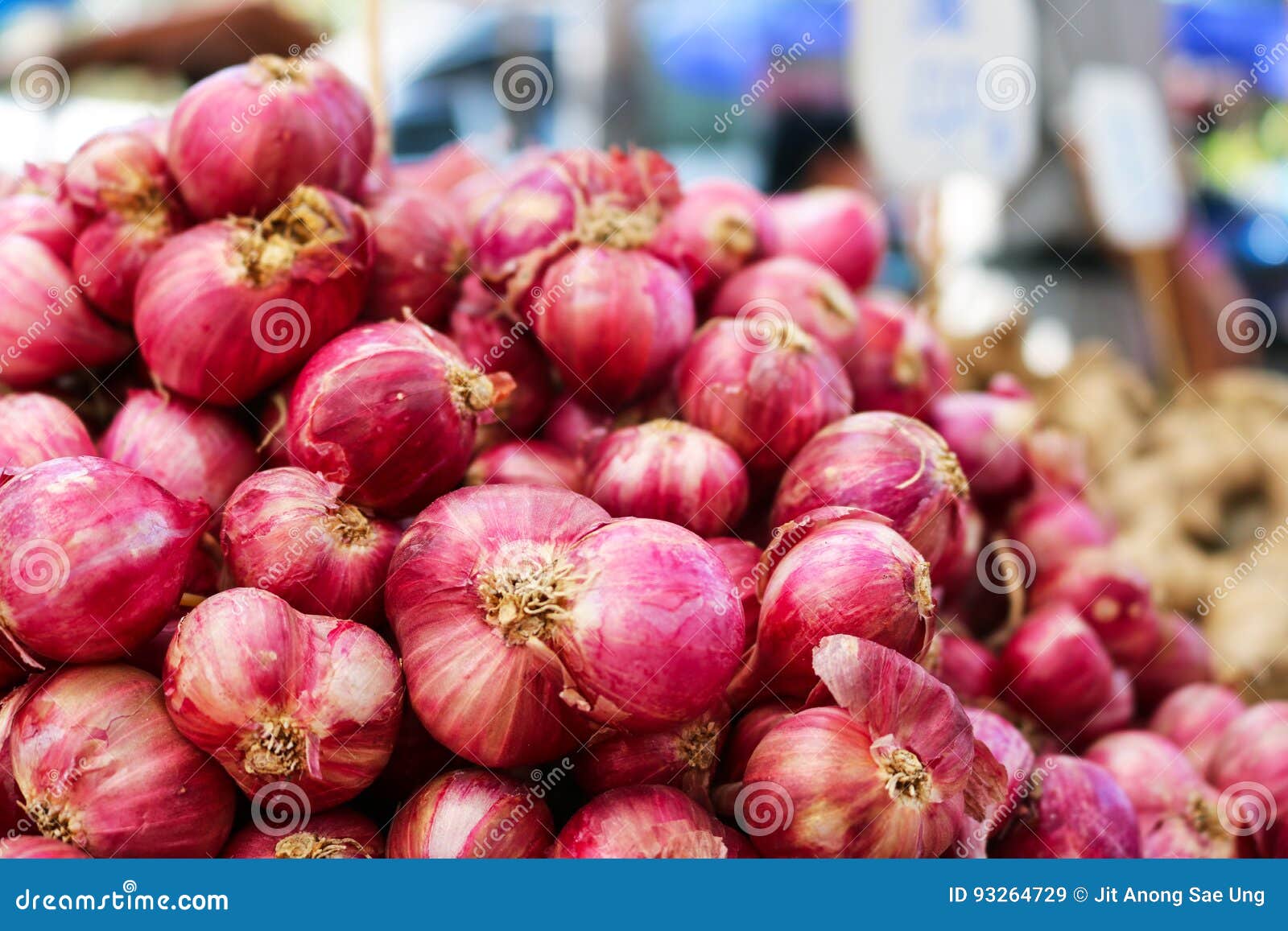 Fresh Shallots