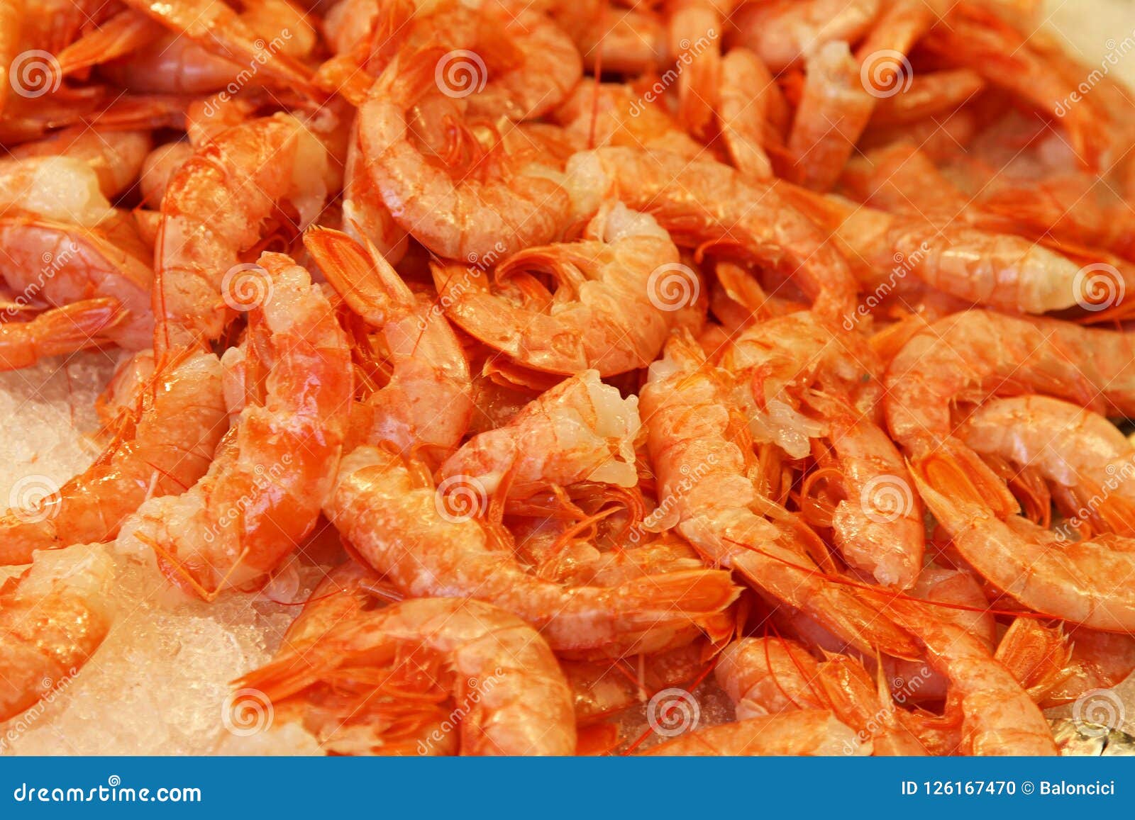 Tails Shrimp stock photo. Image of seafood, prawn, food 126167470