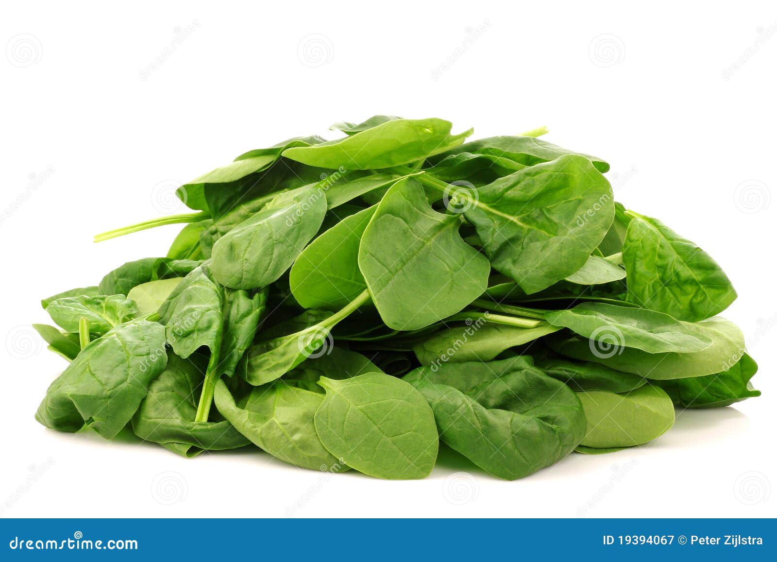 Bunch of Fresh Spinach Leaves Stock Image Image of salad, ingredient