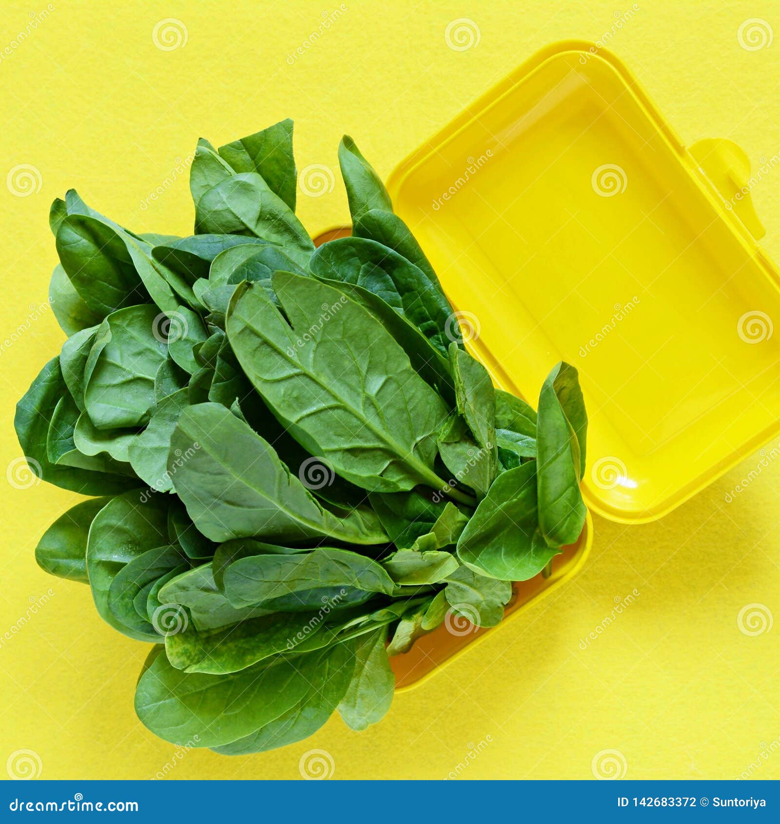 Download A Bunch Of Fresh Spinach In A Yellow Lunch Box On A Yellow Background Healthy Eating Concept Plastic Container Green Spin Stock Photo Image Of Food Natural 142683372 Yellowimages Mockups