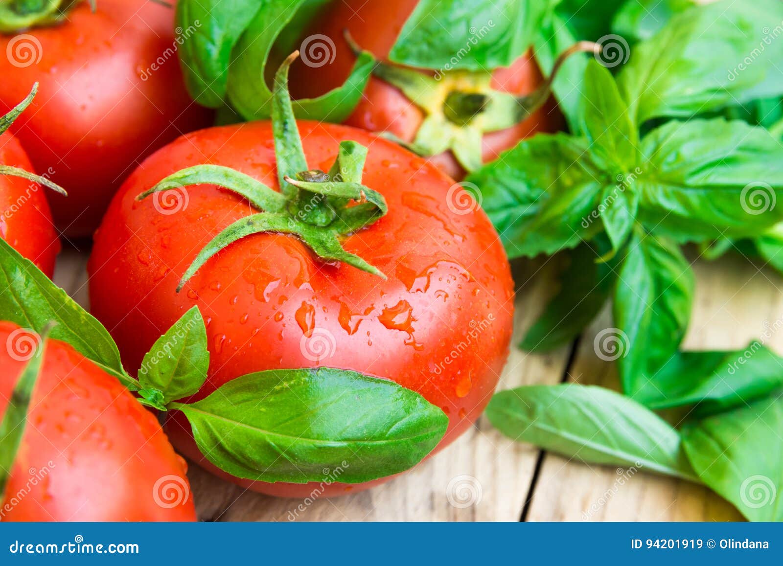 bunch of fresh wet organic tomatoes, green basil on aged plank wood garden table, clean eating, healthy diet, provence