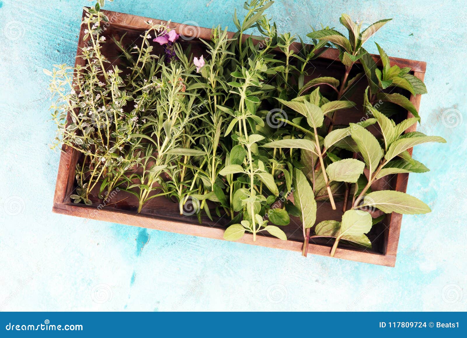 Bunch of Garden Fresh Herbs. Stock Photo Image of cuisine, organic