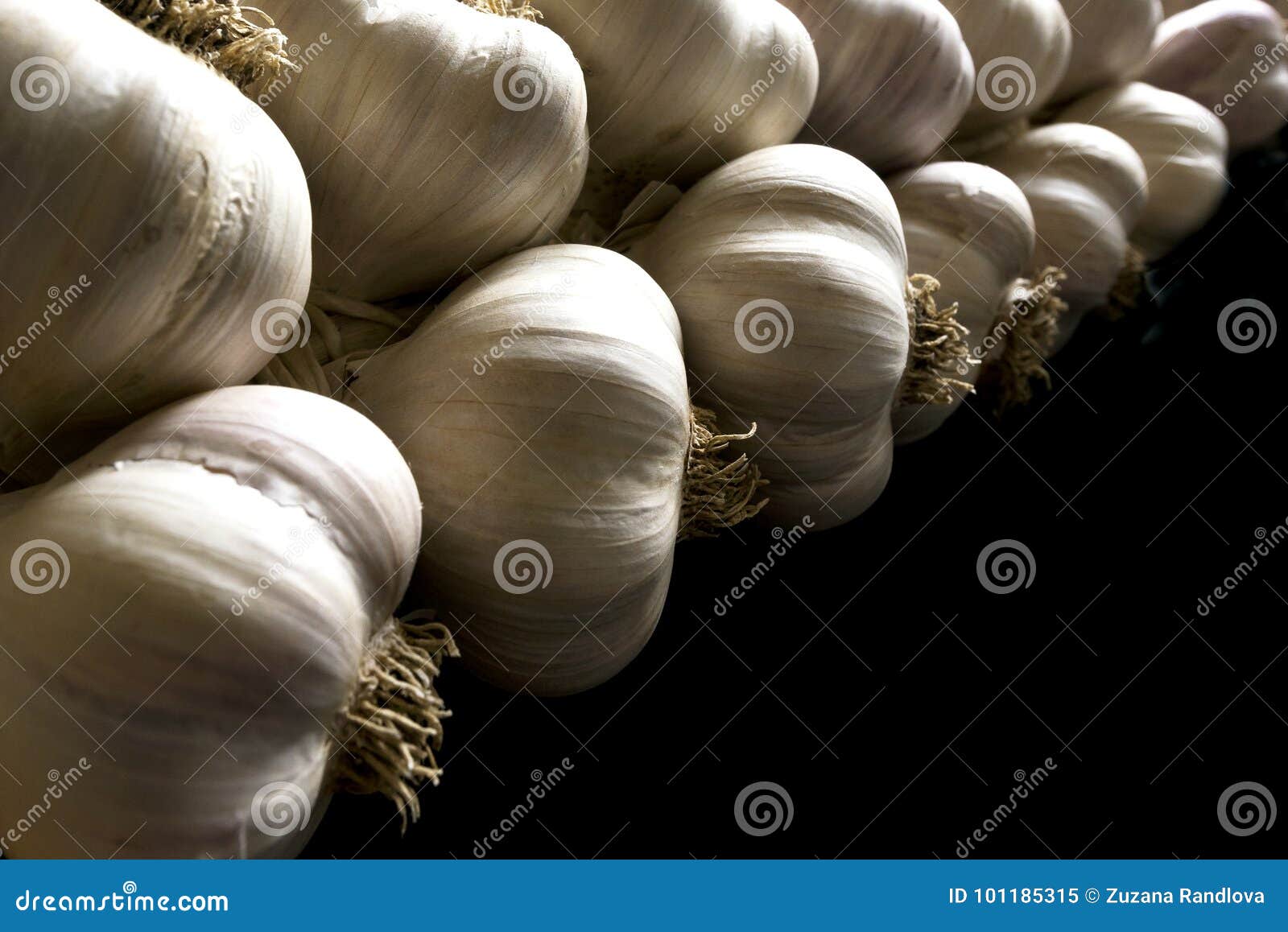 Bunch of garlic stock image. Image of bulb, sheaf, food - 101185315