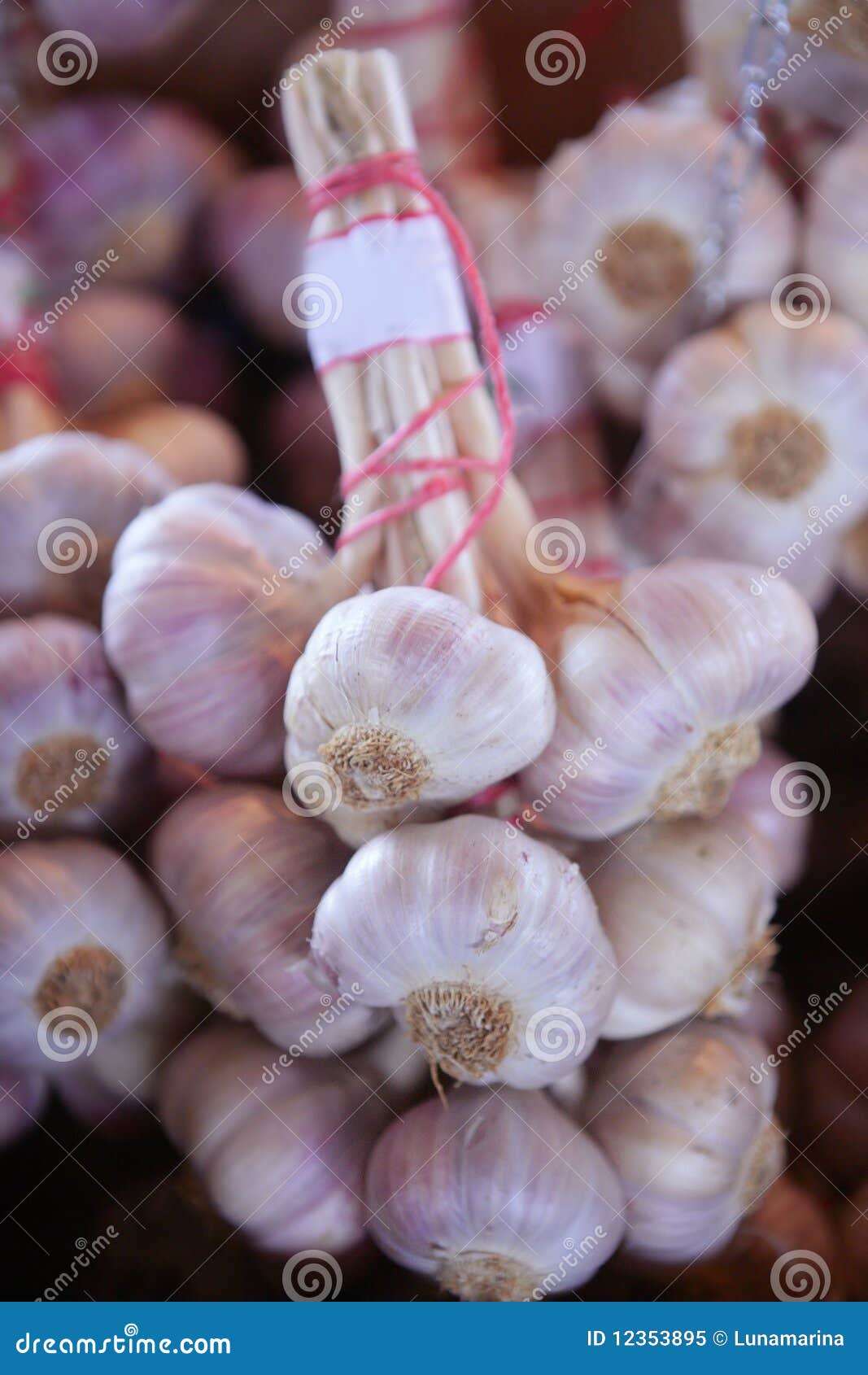 Bunch of Garlic Vegetables in the Marketplace Stock Image - Image of