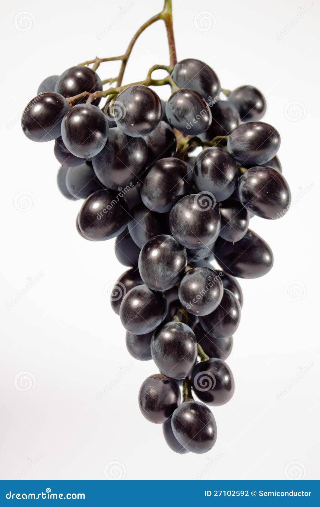 Bunch of grapes stock photo. Image of juicy, eating, white 27102592